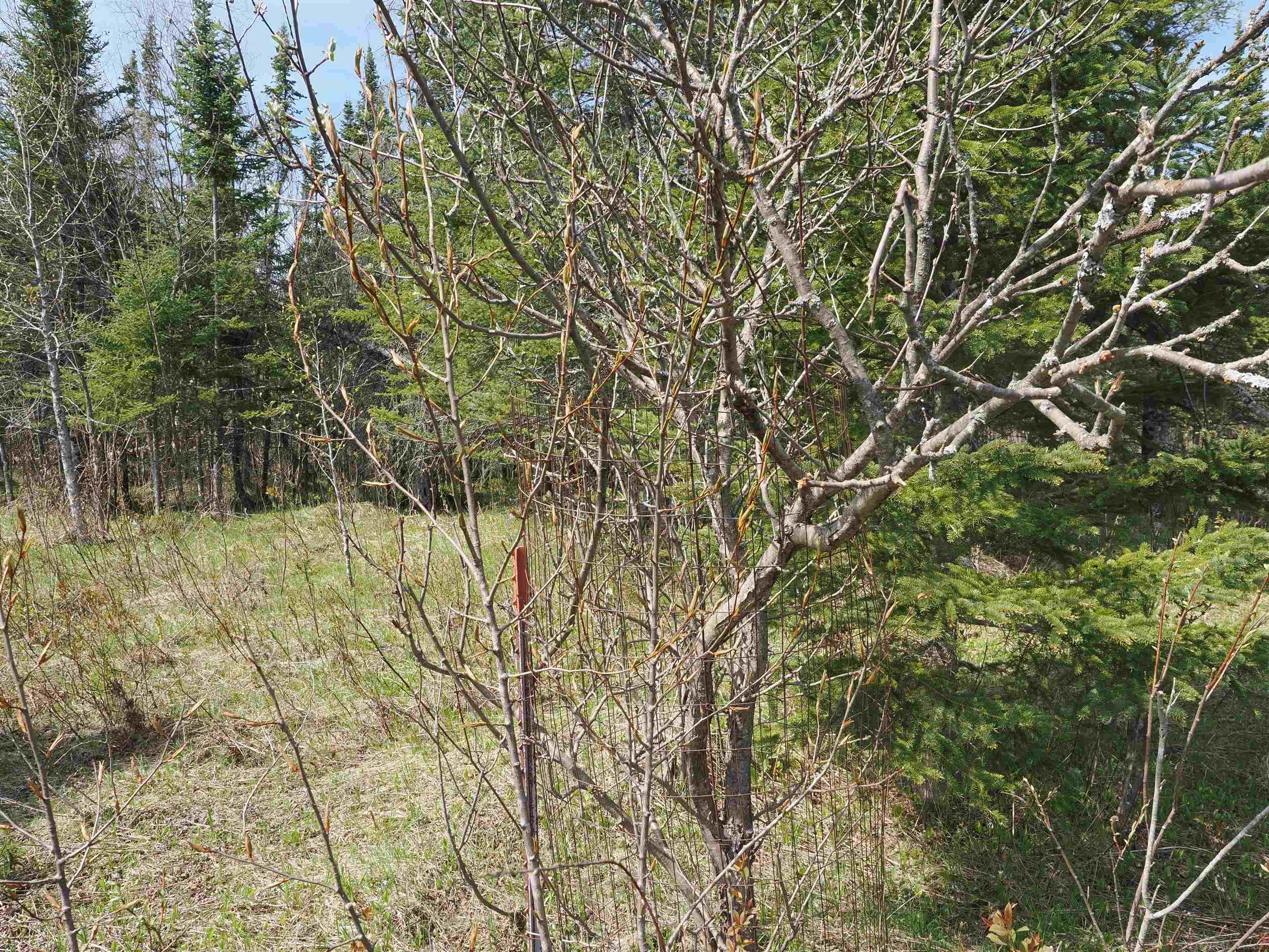 W15598 Hiawatha Trail Property Photo 15