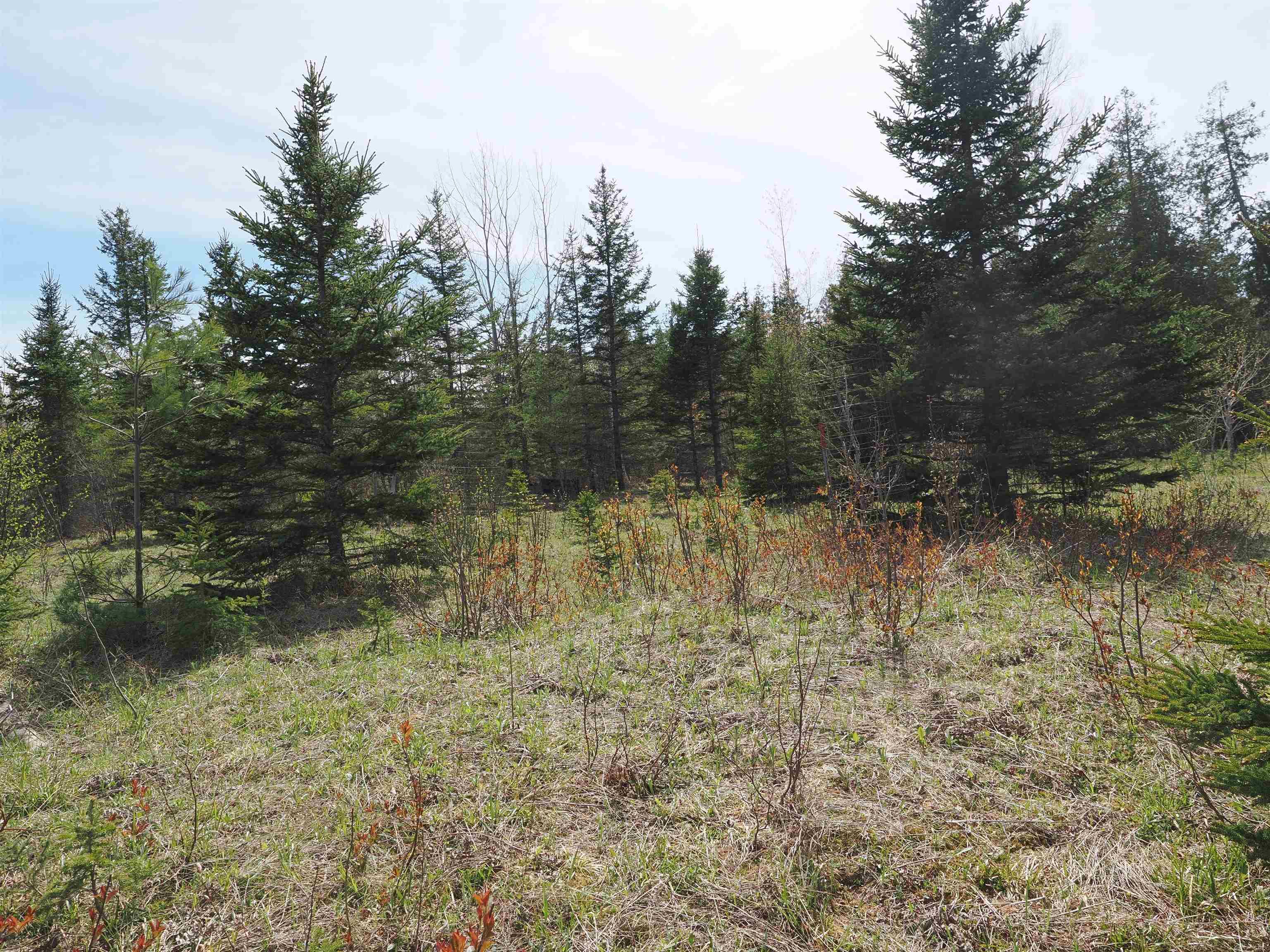 W15598 Hiawatha Trail Property Photo 16