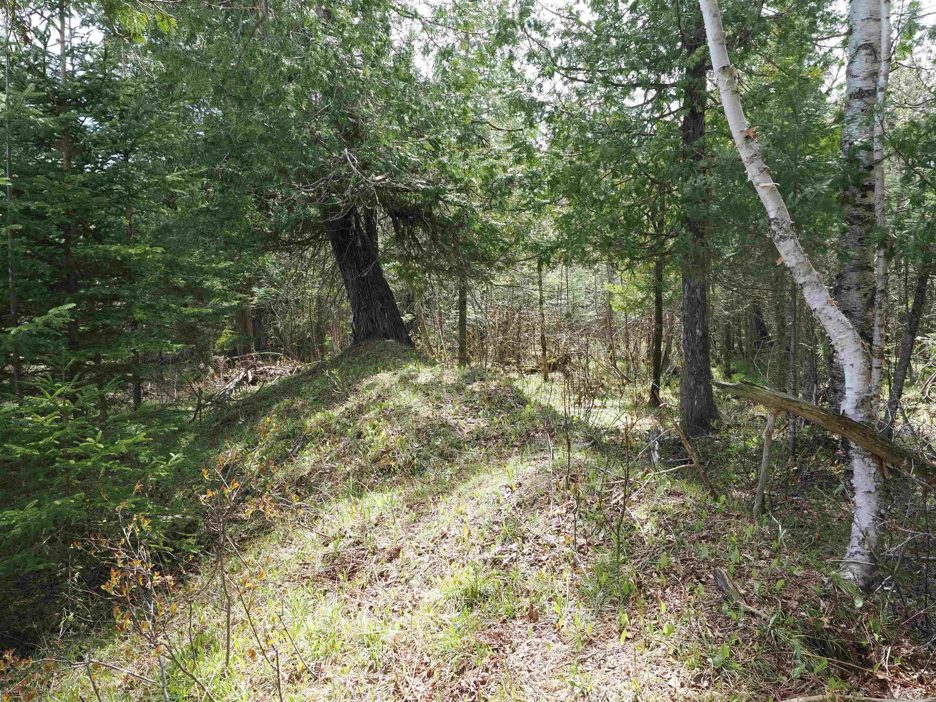 W15598 Hiawatha Trail Property Photo 17
