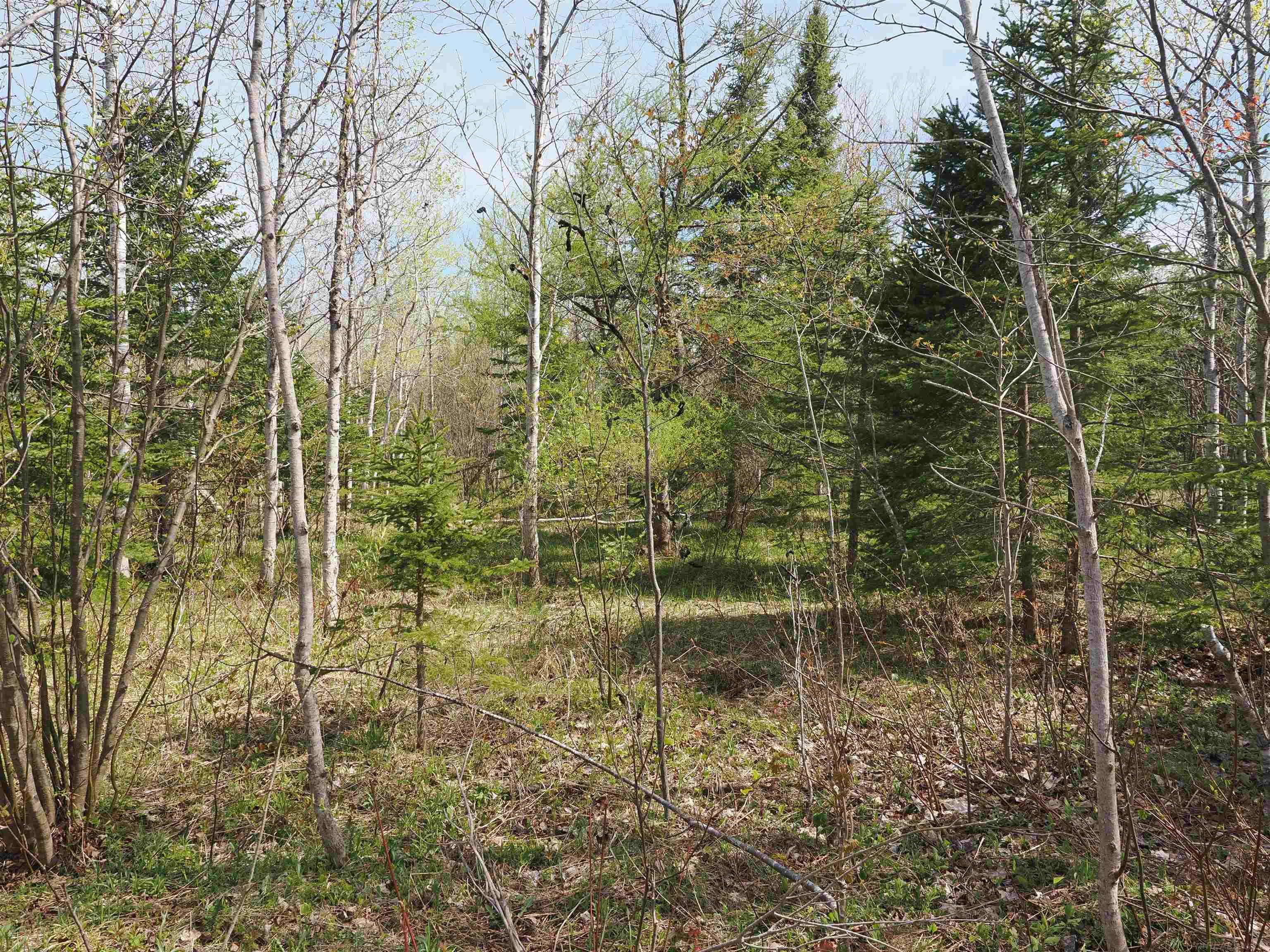 W15598 Hiawatha Trail Property Photo 18