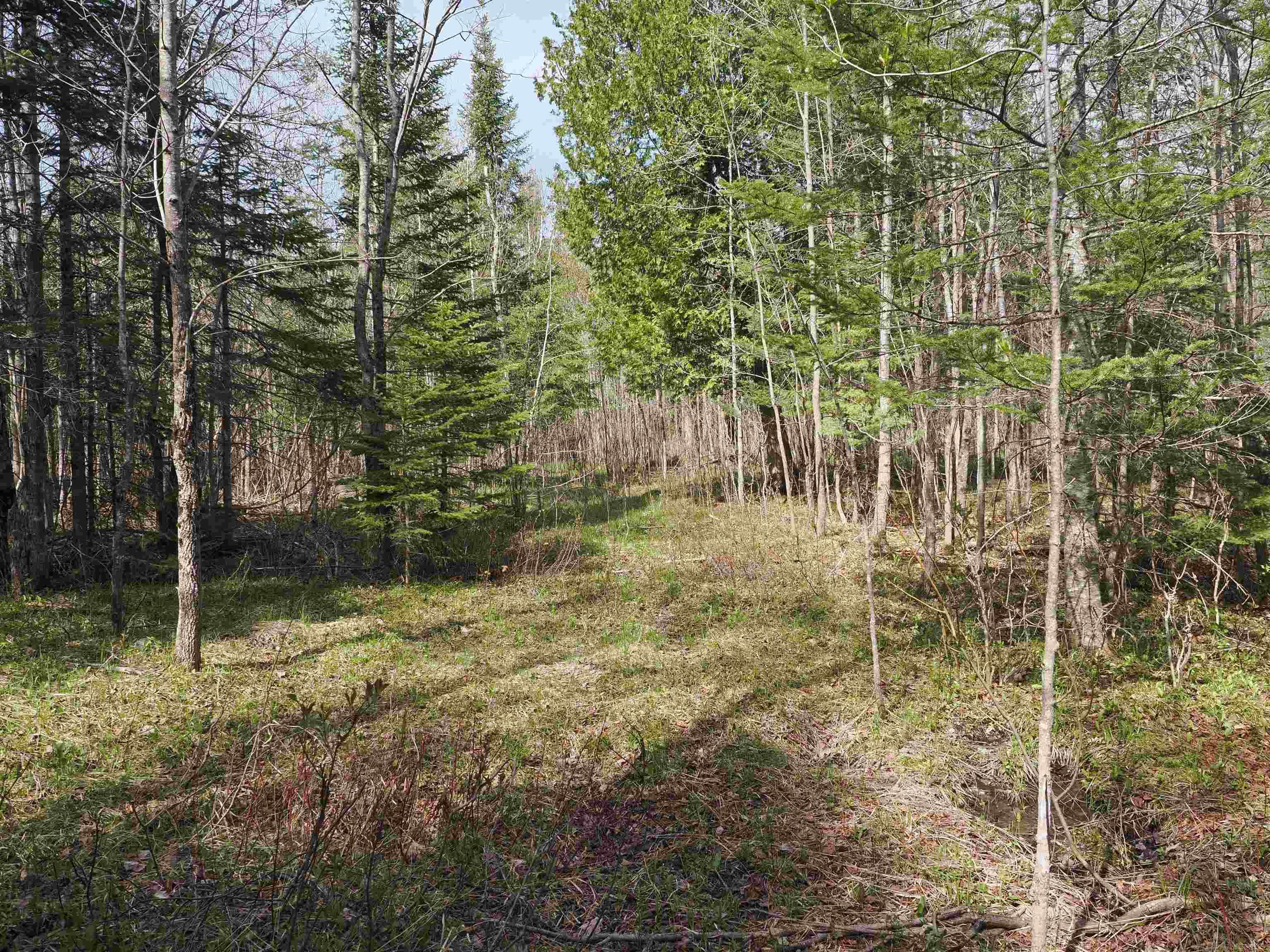 W15598 Hiawatha Trail Property Photo 19