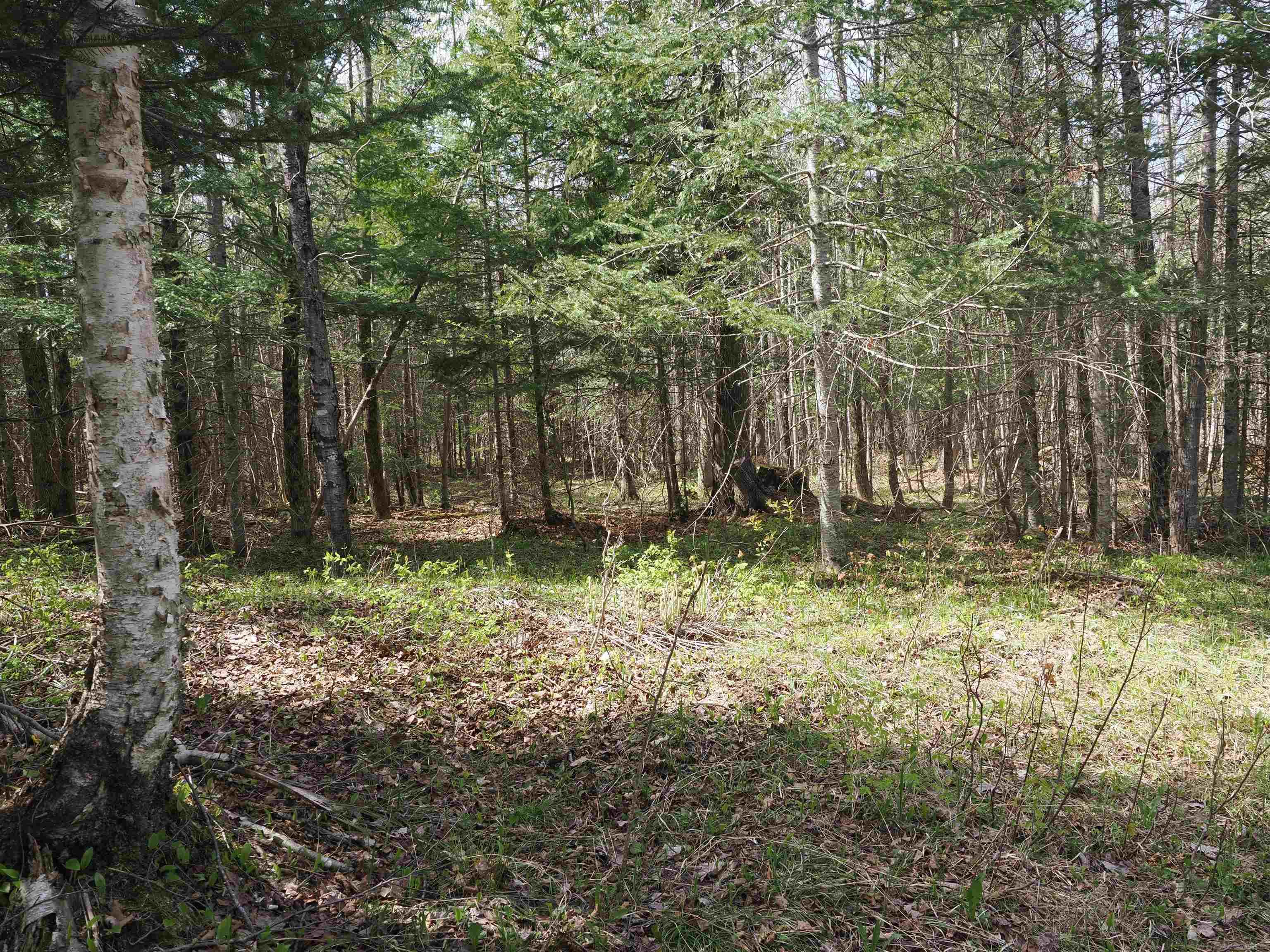W15598 Hiawatha Trail Property Photo 20