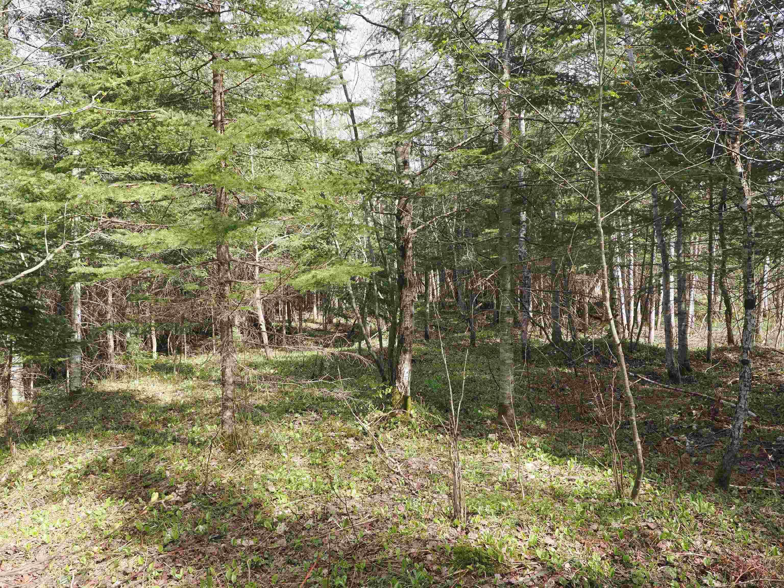 W15598 Hiawatha Trail Property Photo 21