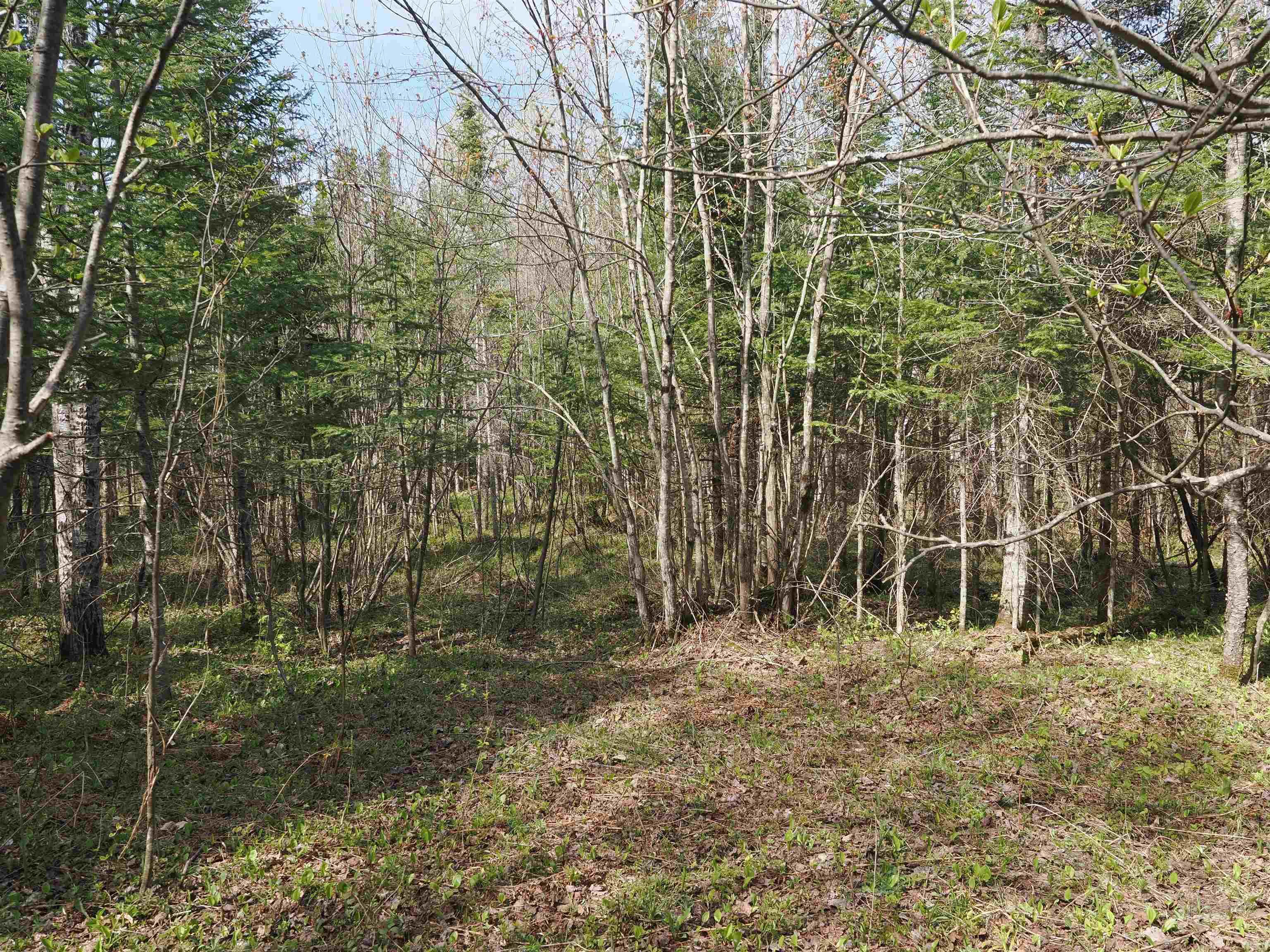 W15598 Hiawatha Trail Property Photo 22