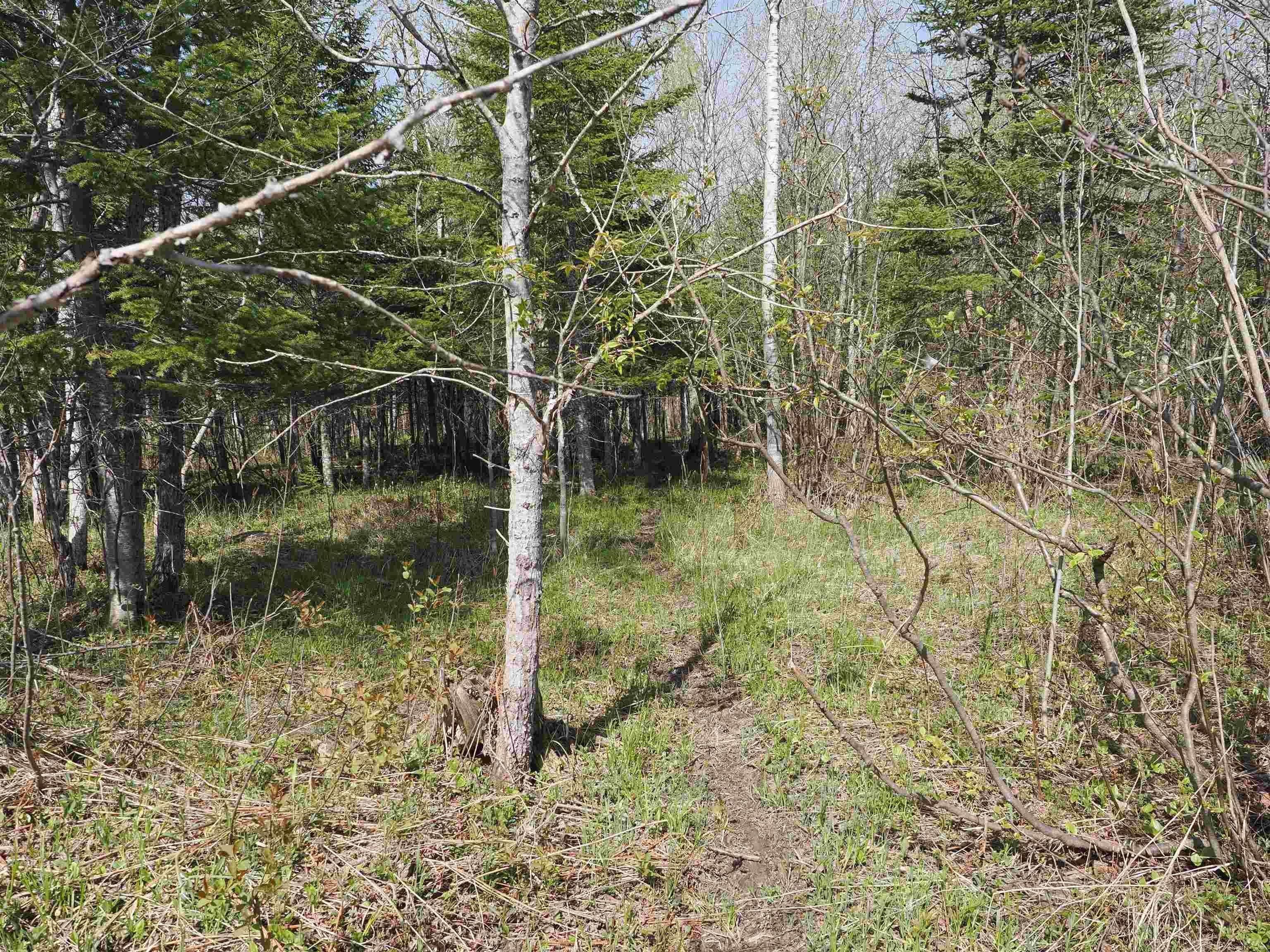 W15598 Hiawatha Trail Property Photo 25