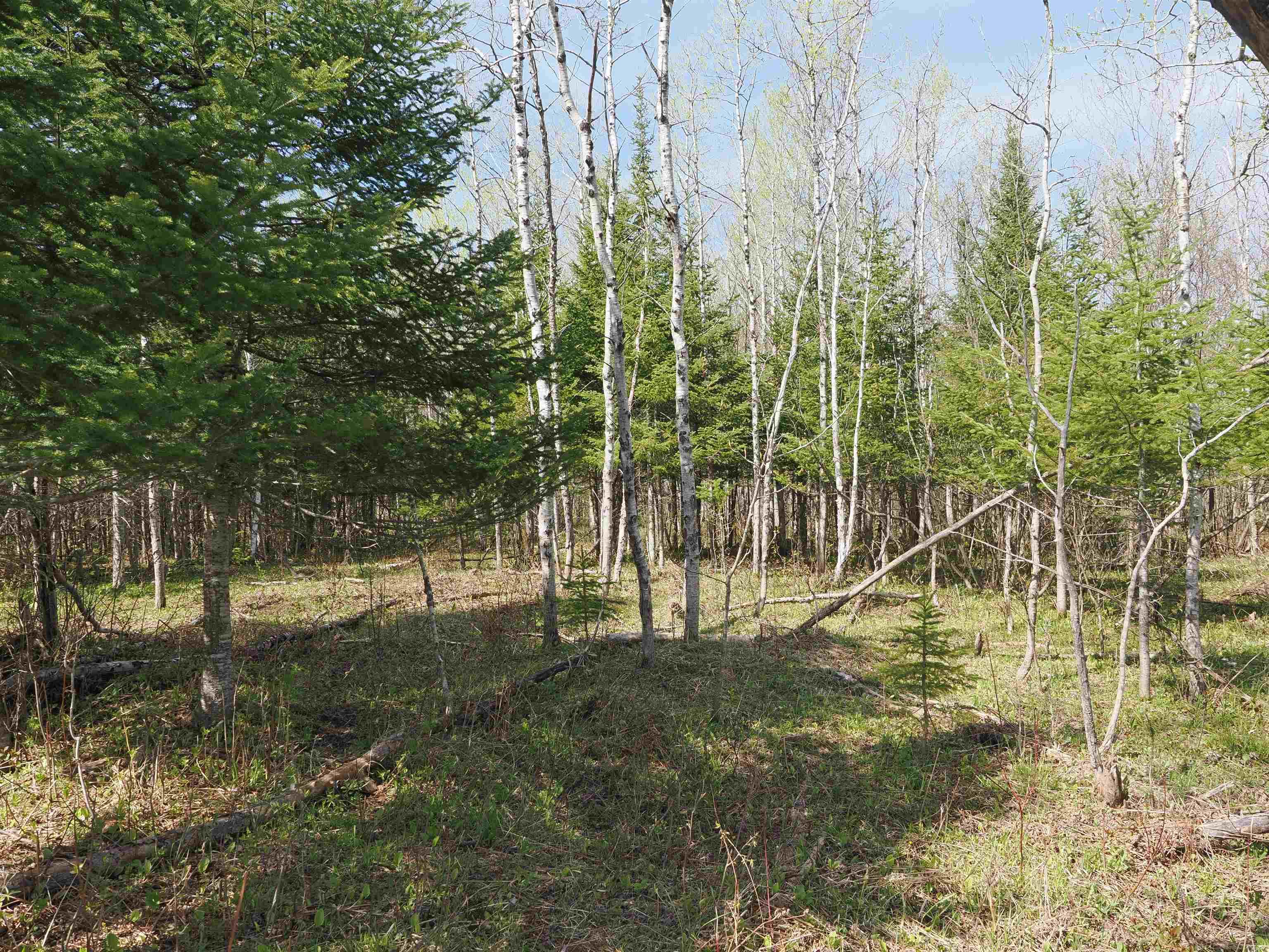 W15598 Hiawatha Trail Property Photo 26