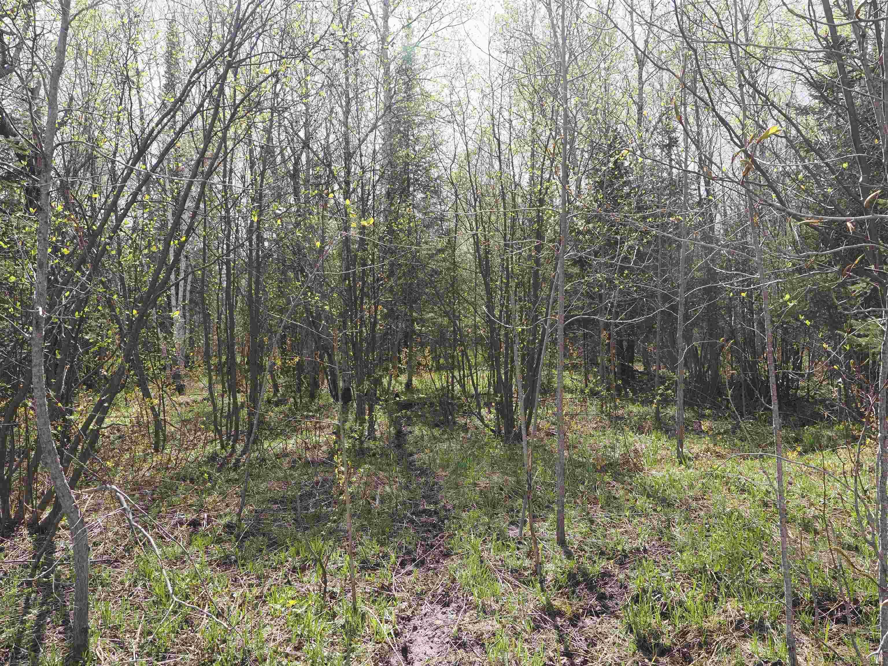 W15598 Hiawatha Trail Property Photo 27