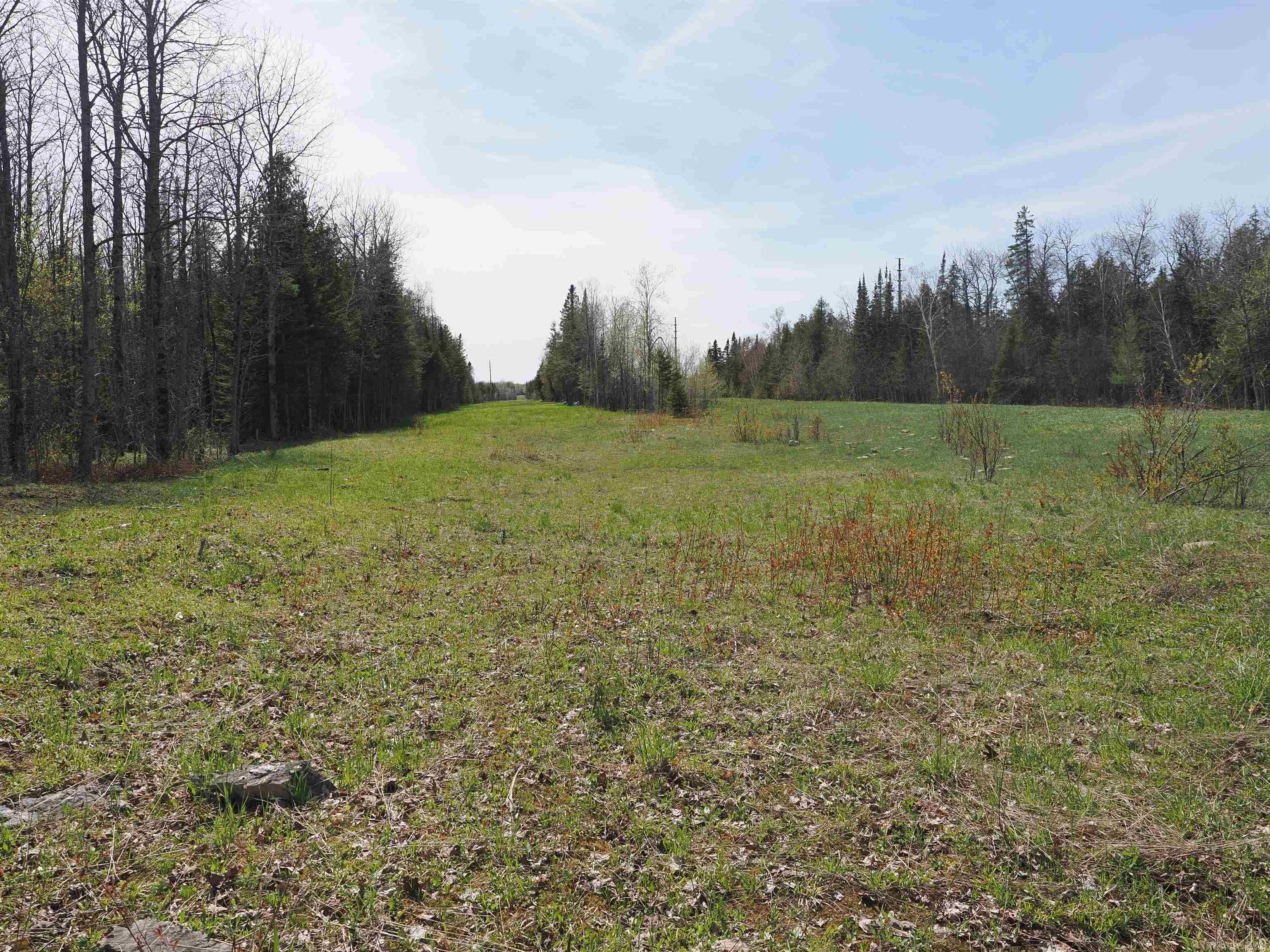 W15598 Hiawatha Trail Property Photo 28