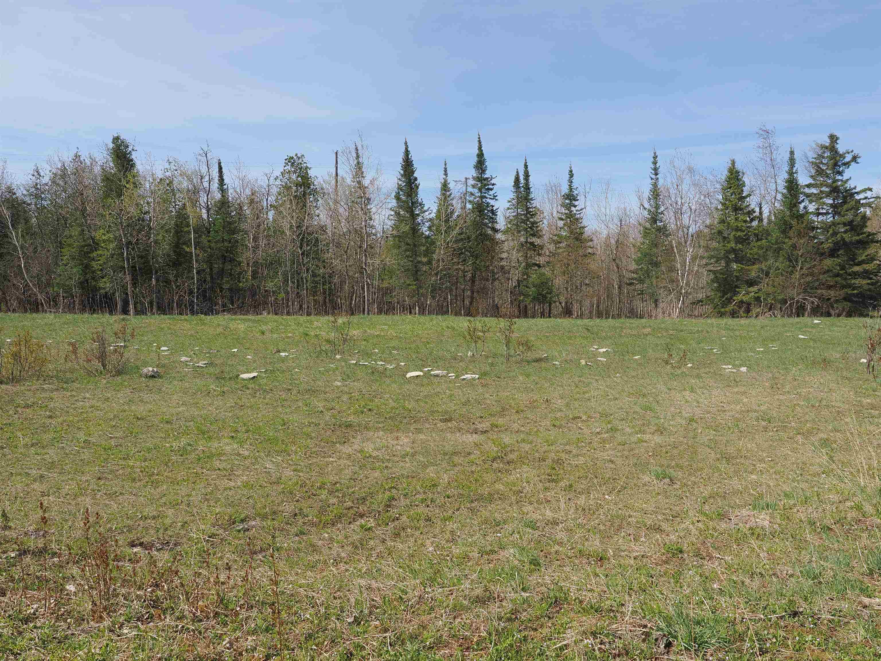 W15598 Hiawatha Trail Property Photo 29