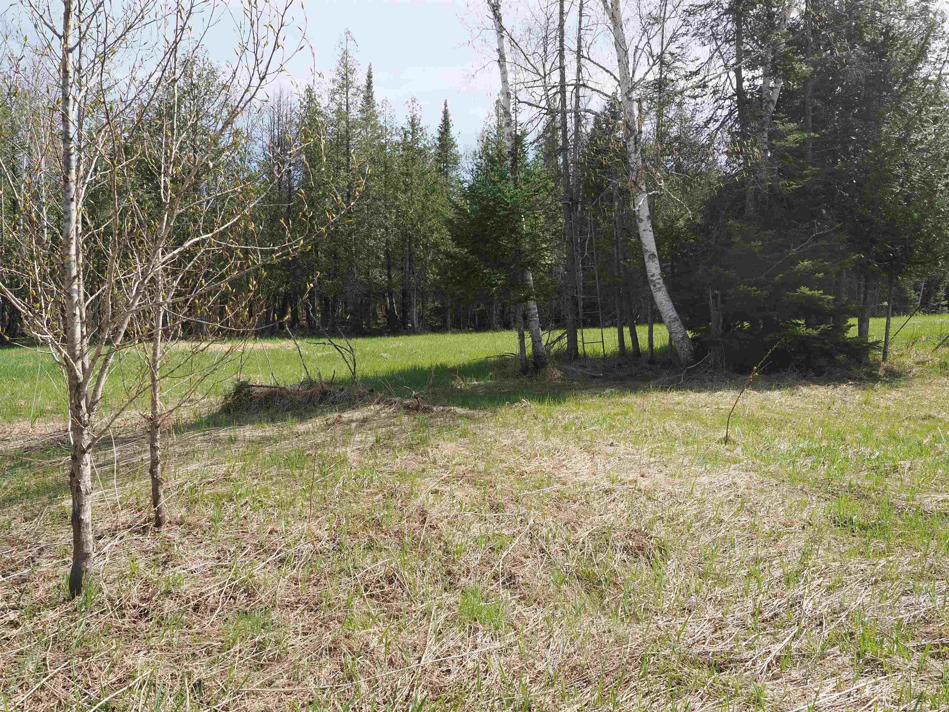 W15598 Hiawatha Trail Property Photo 31