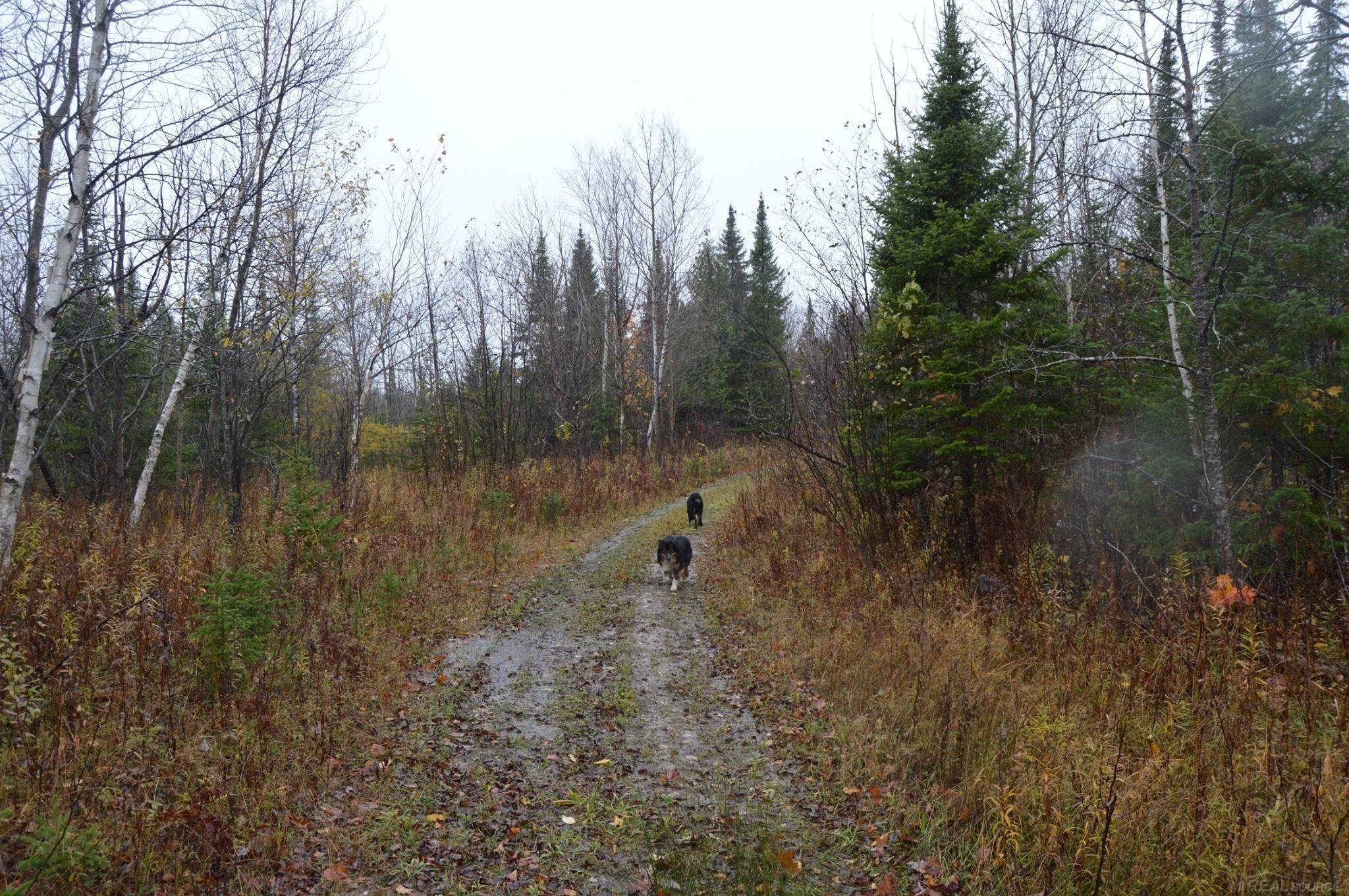 W15598 Hiawatha Trail Property Photo 32