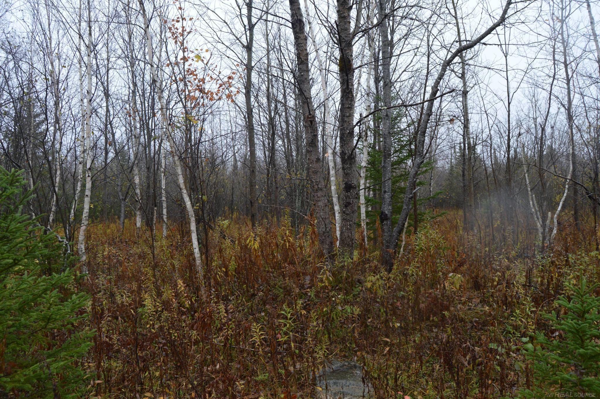 W15598 Hiawatha Trail Property Photo 33