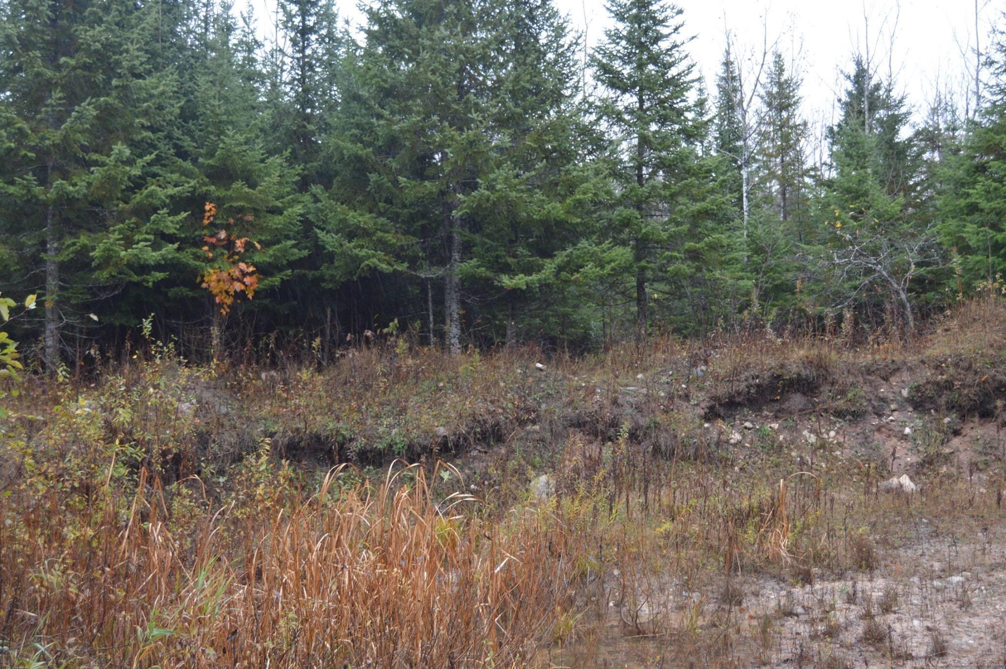 W15598 Hiawatha Trail Property Photo 34