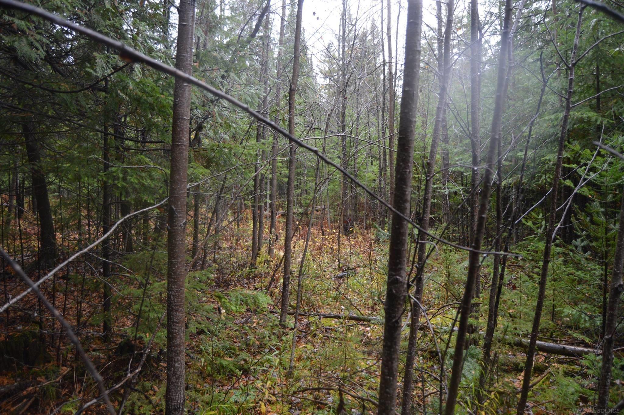 W15598 Hiawatha Trail Property Photo 36