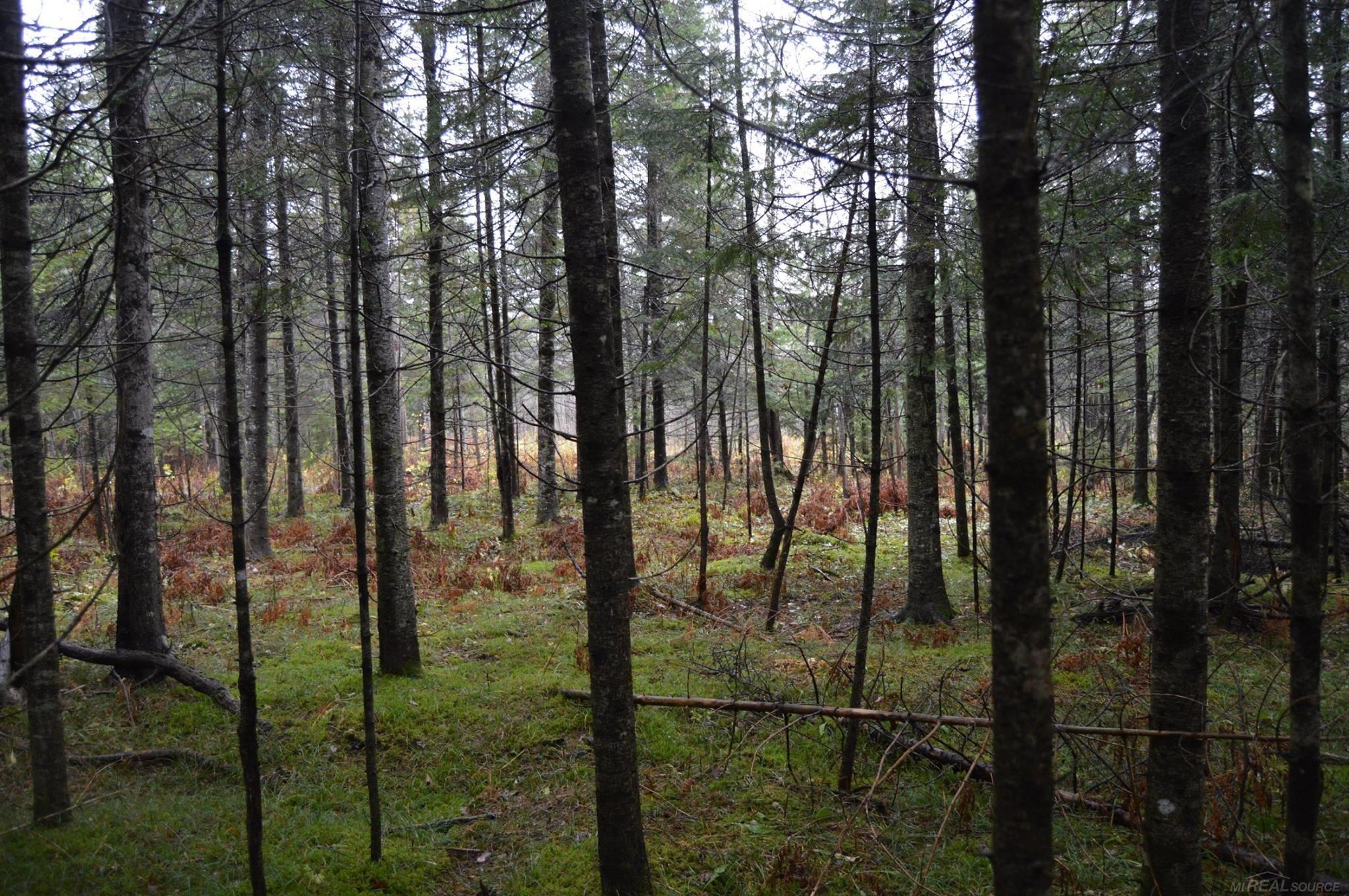 W15598 Hiawatha Trail Property Photo 37