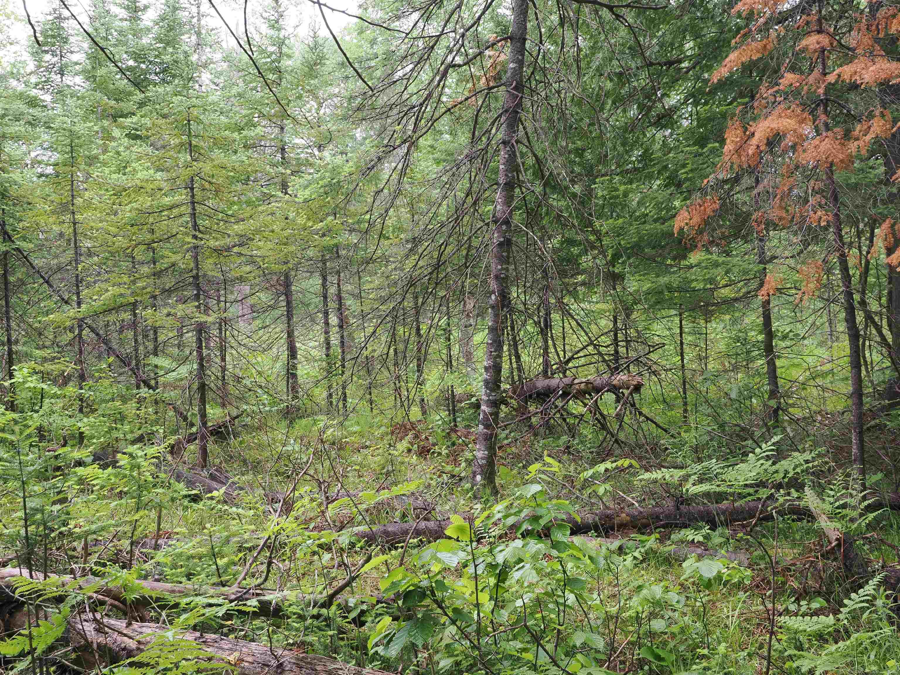 W15598 Hiawatha Trail Property Photo 38