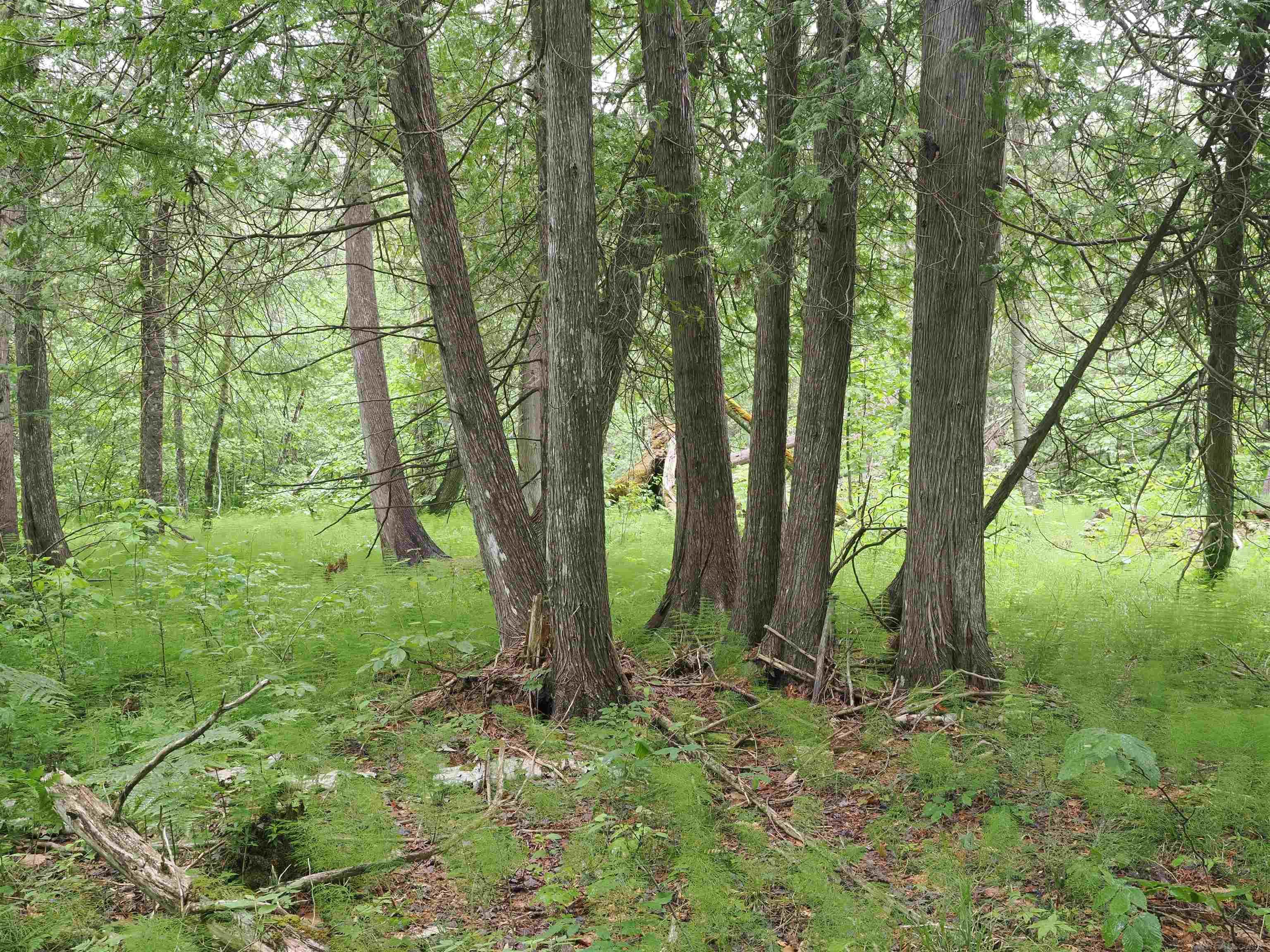 W15598 Hiawatha Trail Property Photo 42