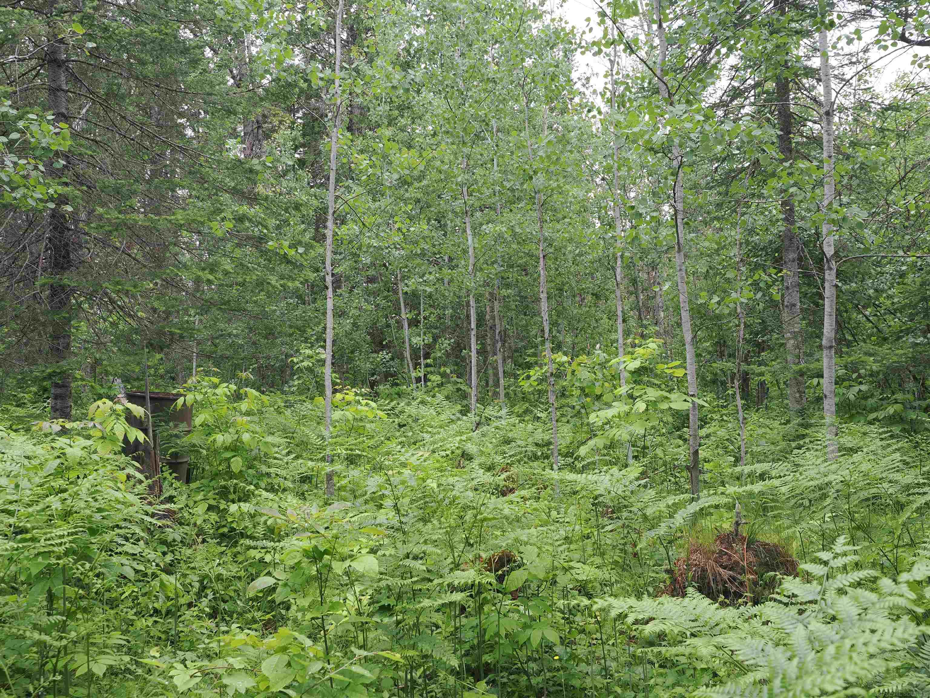 W15598 Hiawatha Trail Property Photo 43