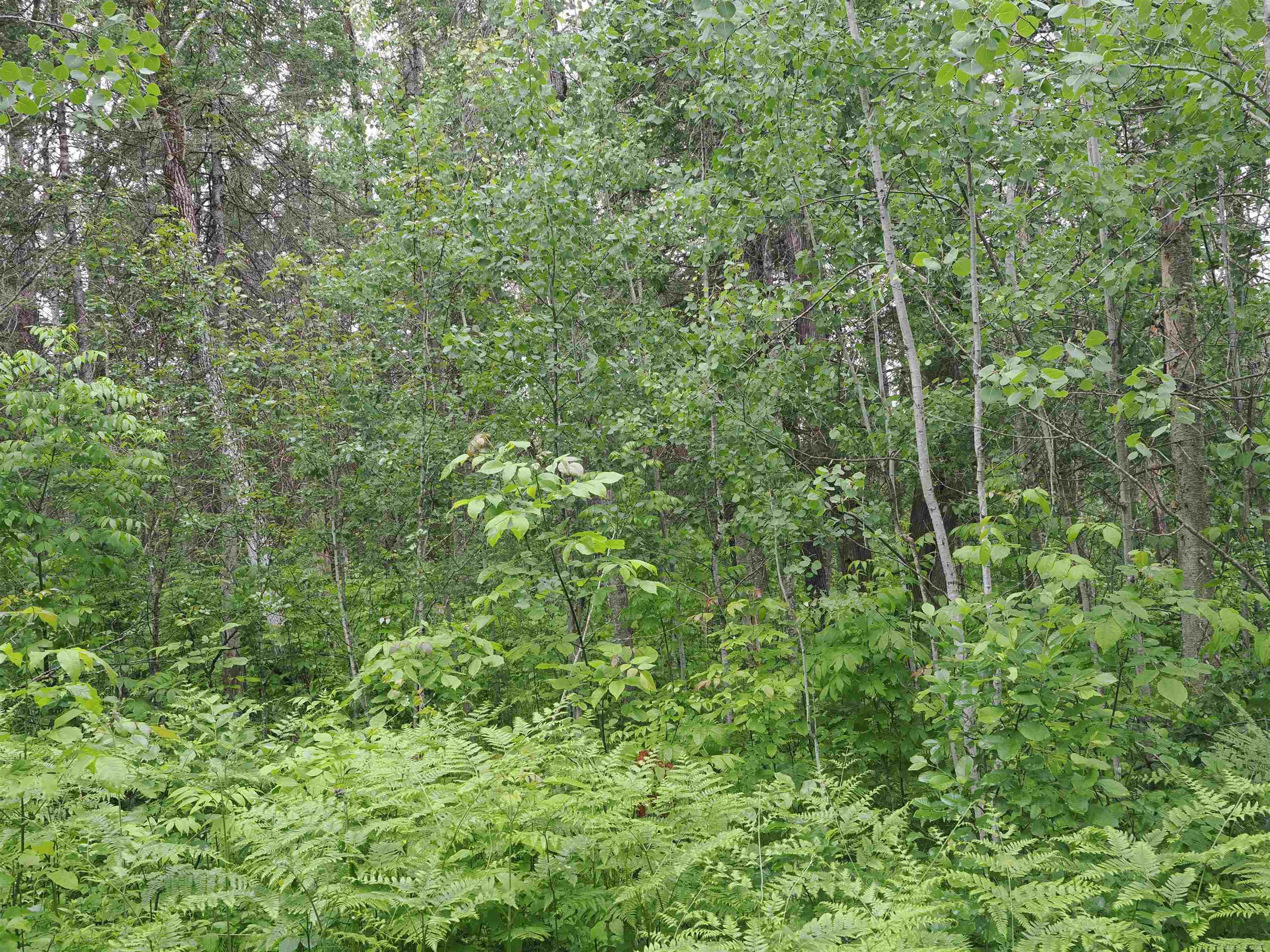 W15598 Hiawatha Trail Property Photo 44