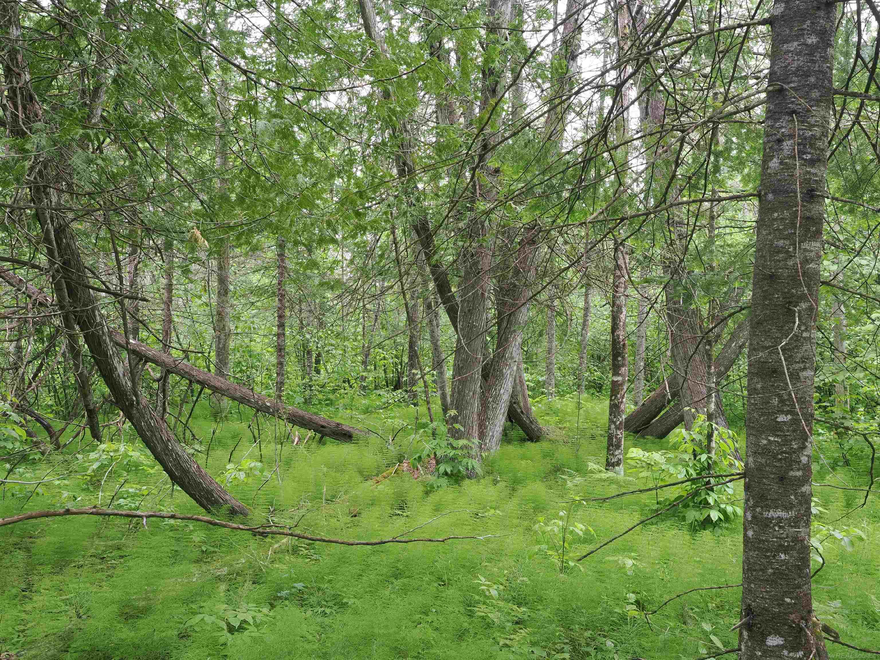 W15598 Hiawatha Trail Property Photo 45