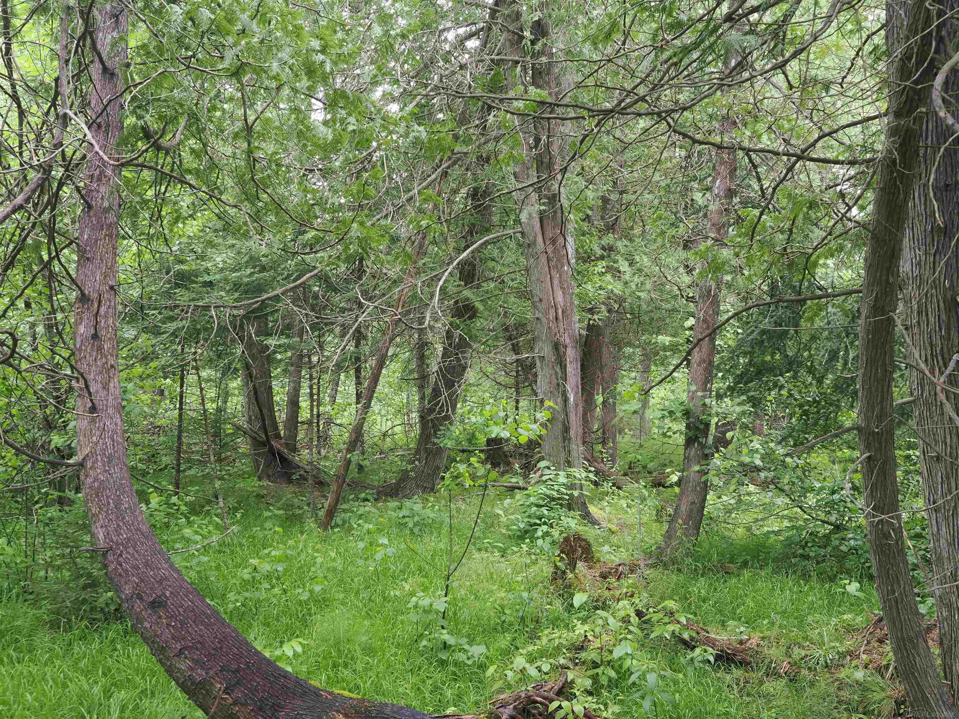 W15598 Hiawatha Trail Property Photo 47
