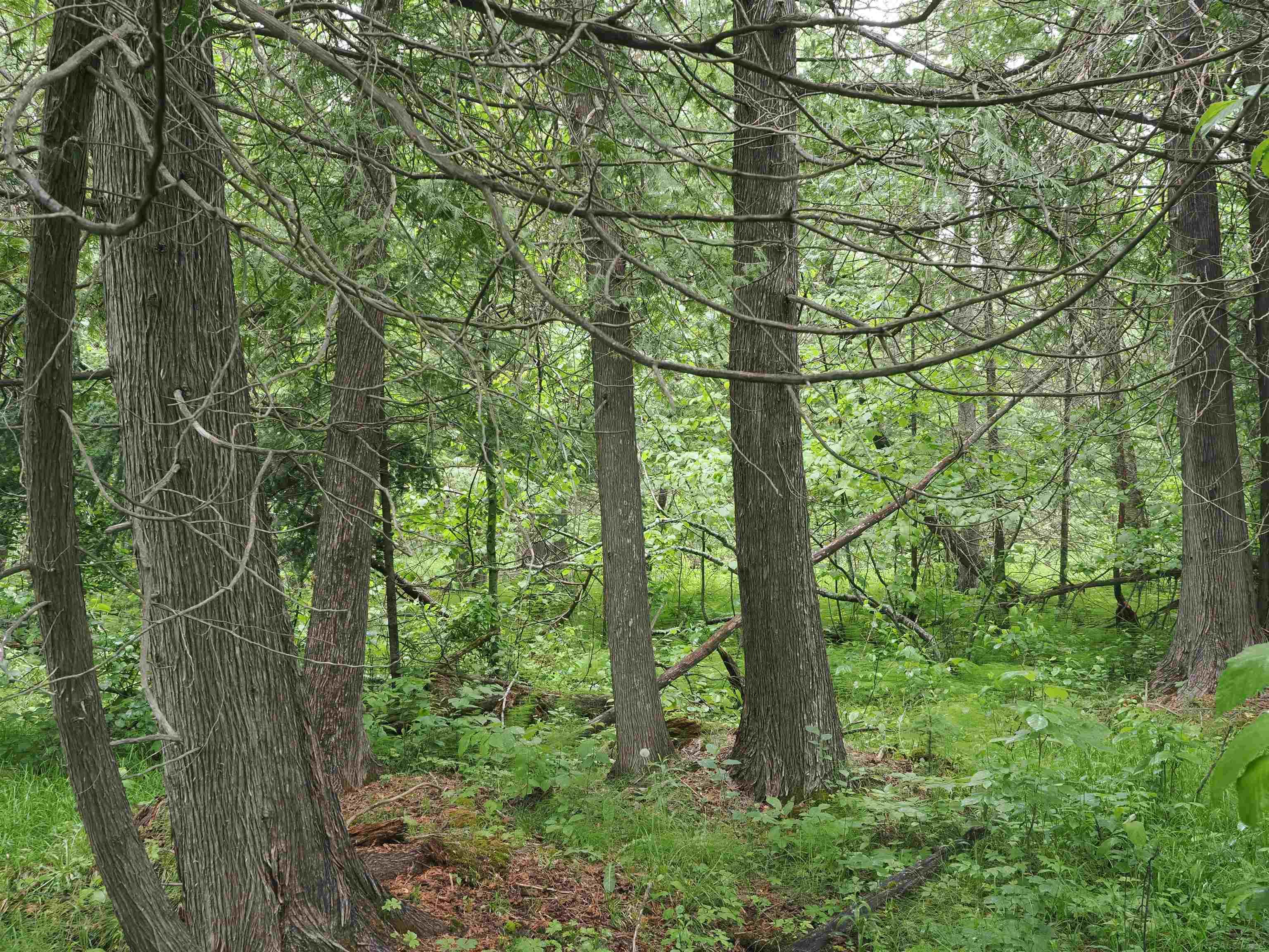 W15598 Hiawatha Trail Property Photo 48
