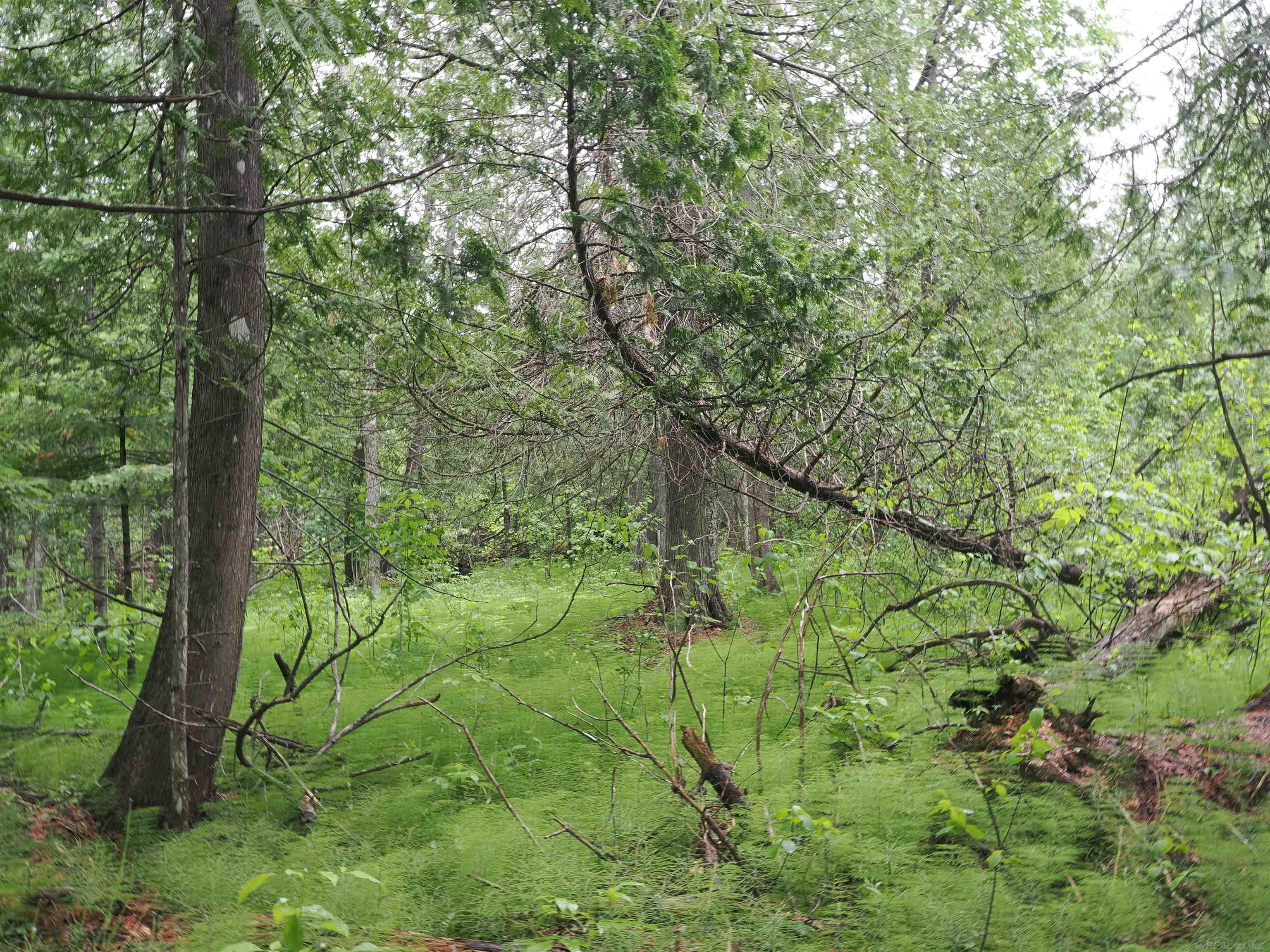 W15598 Hiawatha Trail Property Photo 49