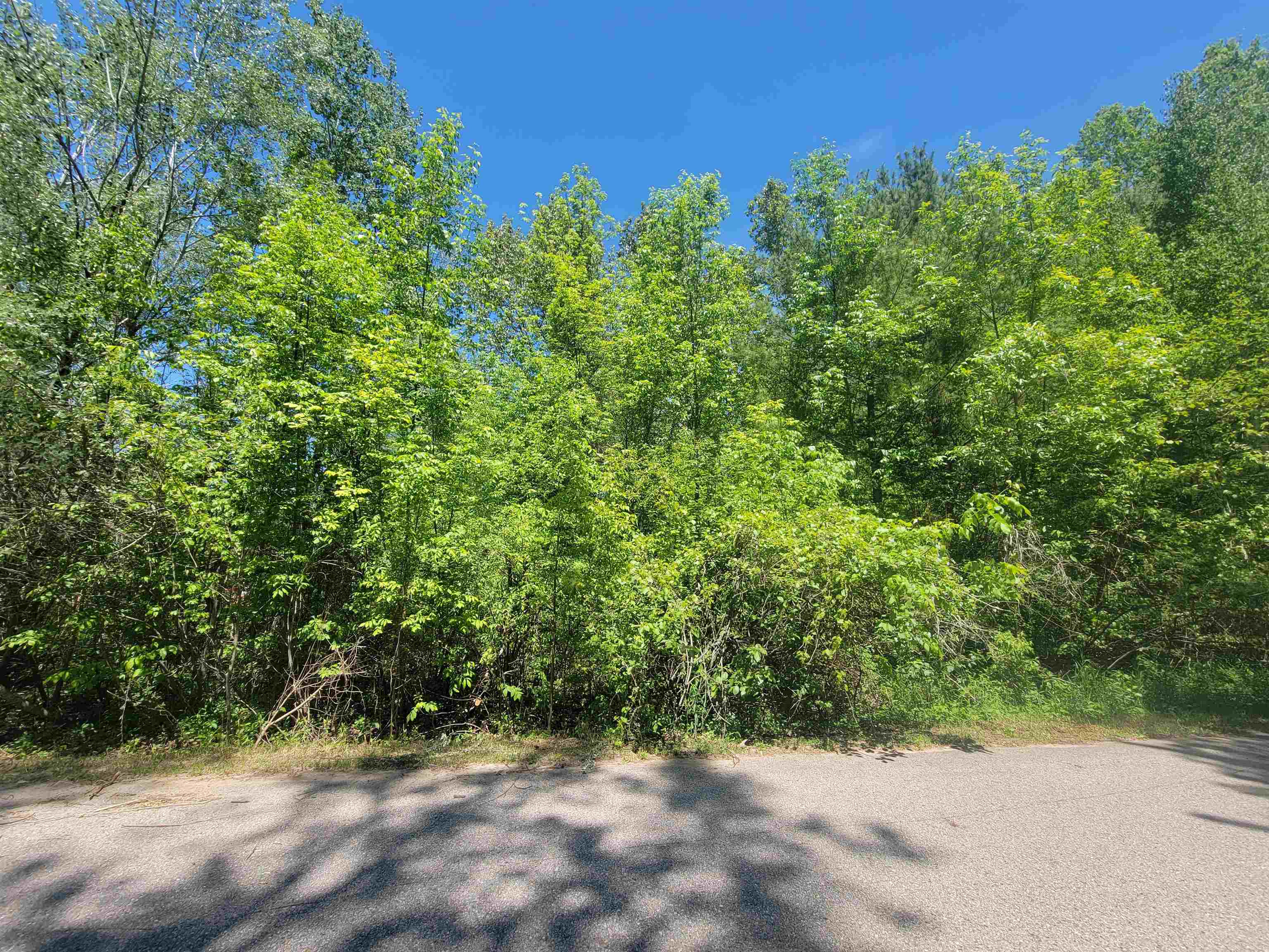 Vl Maple Street Property Photo 1