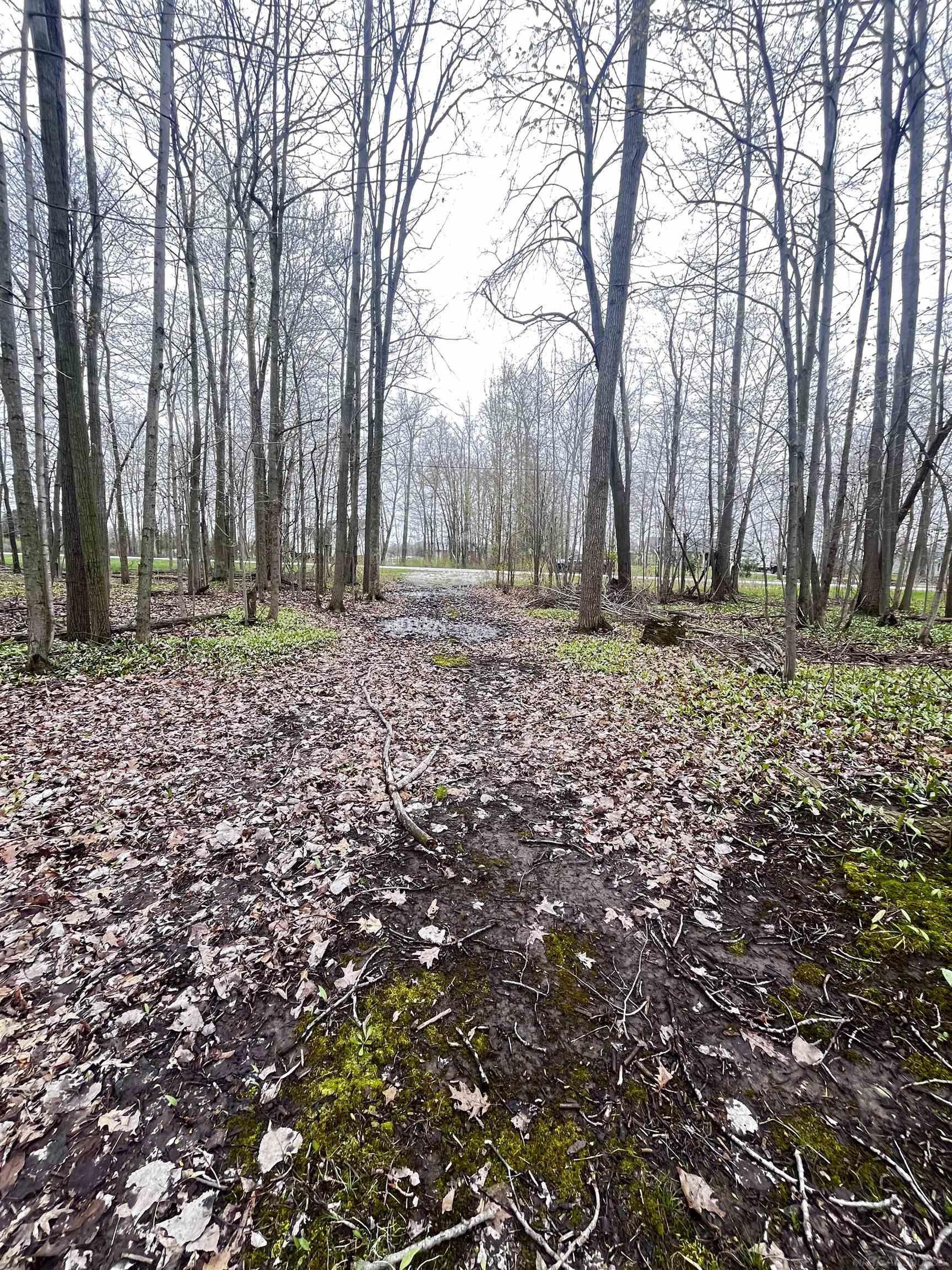 Fox Ridge Lane Property Photo 3