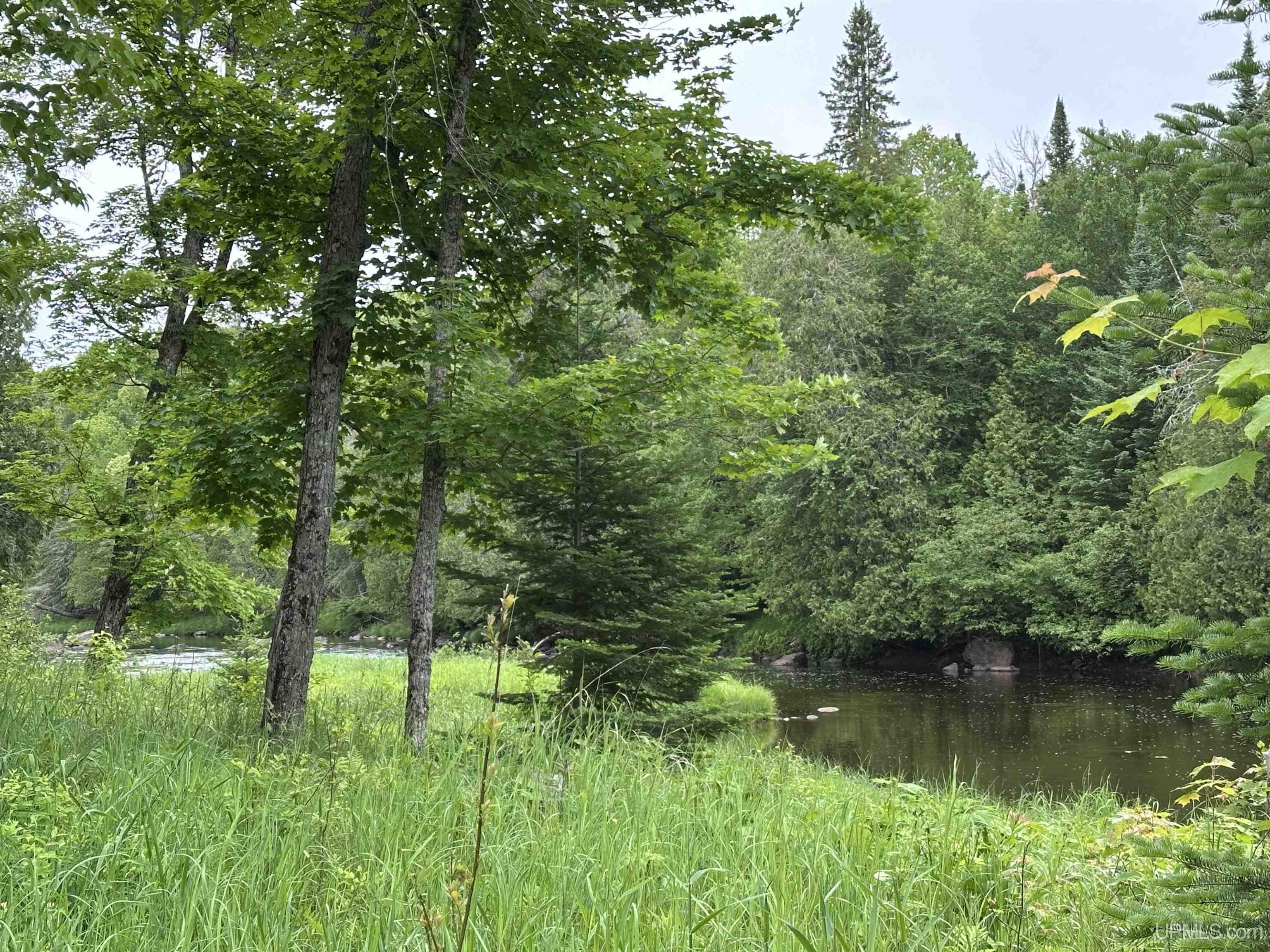 Off Camp 6 Road Property Photo 47