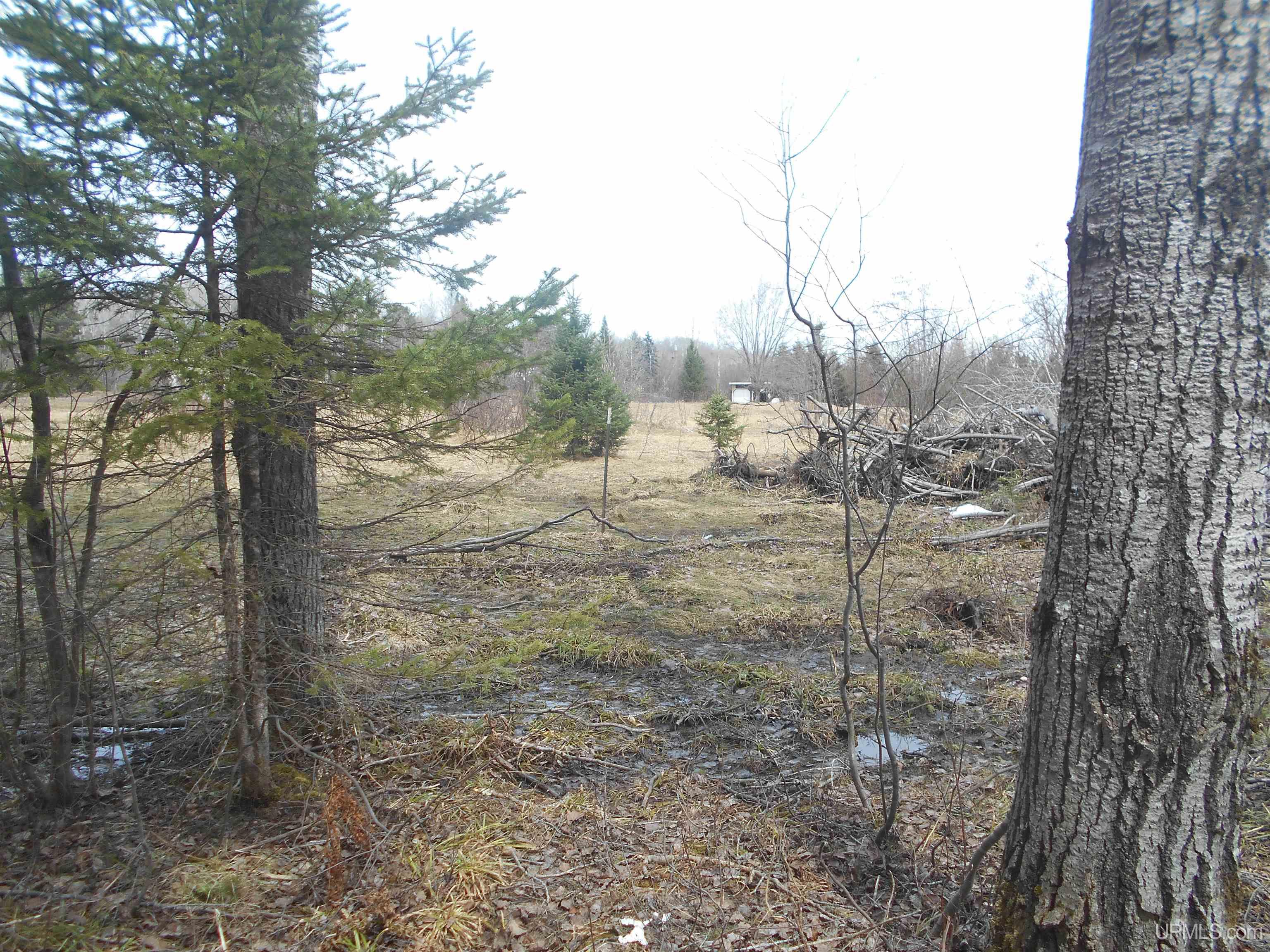0 Lower Worham Roads Property Photo 1