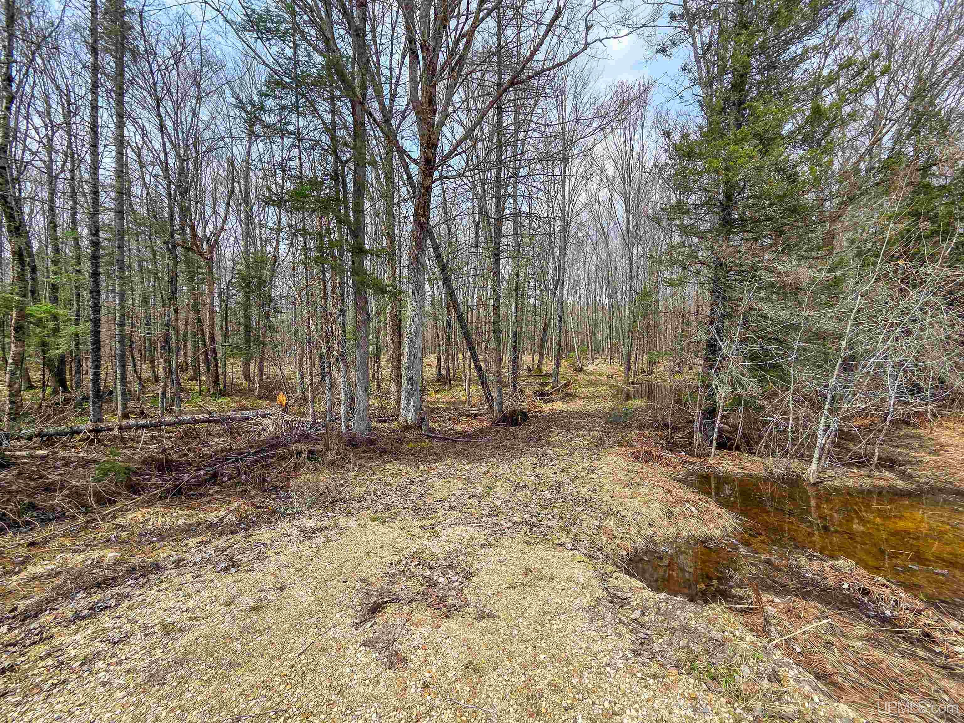 Tbd Coaster Road Property Photo 8