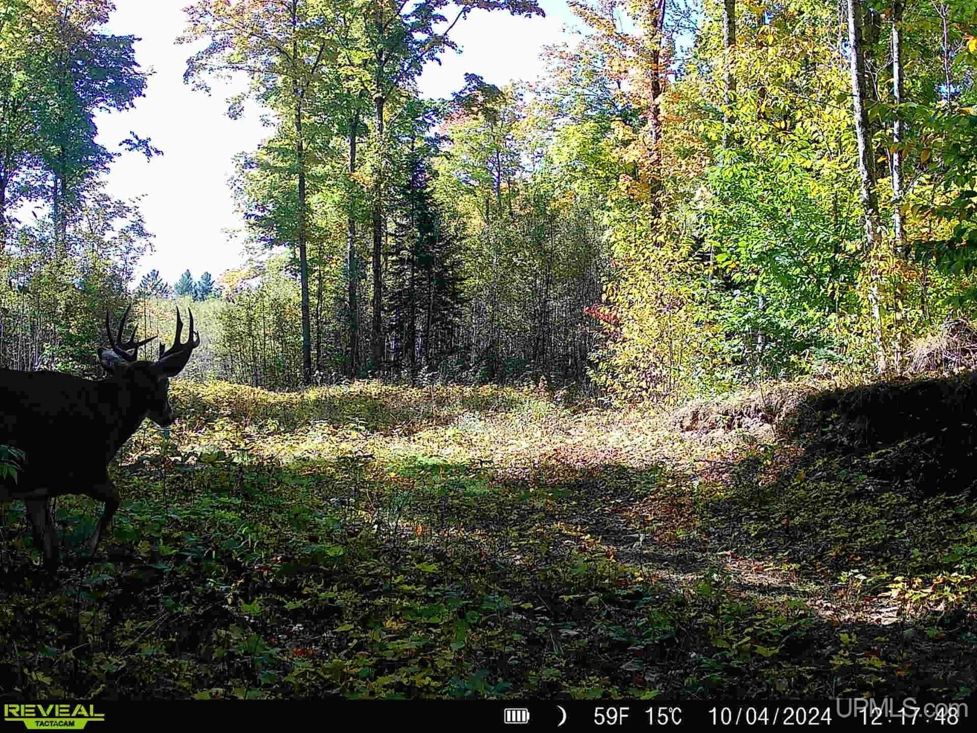 N1185 E Tie Lake Road Property Photo 40