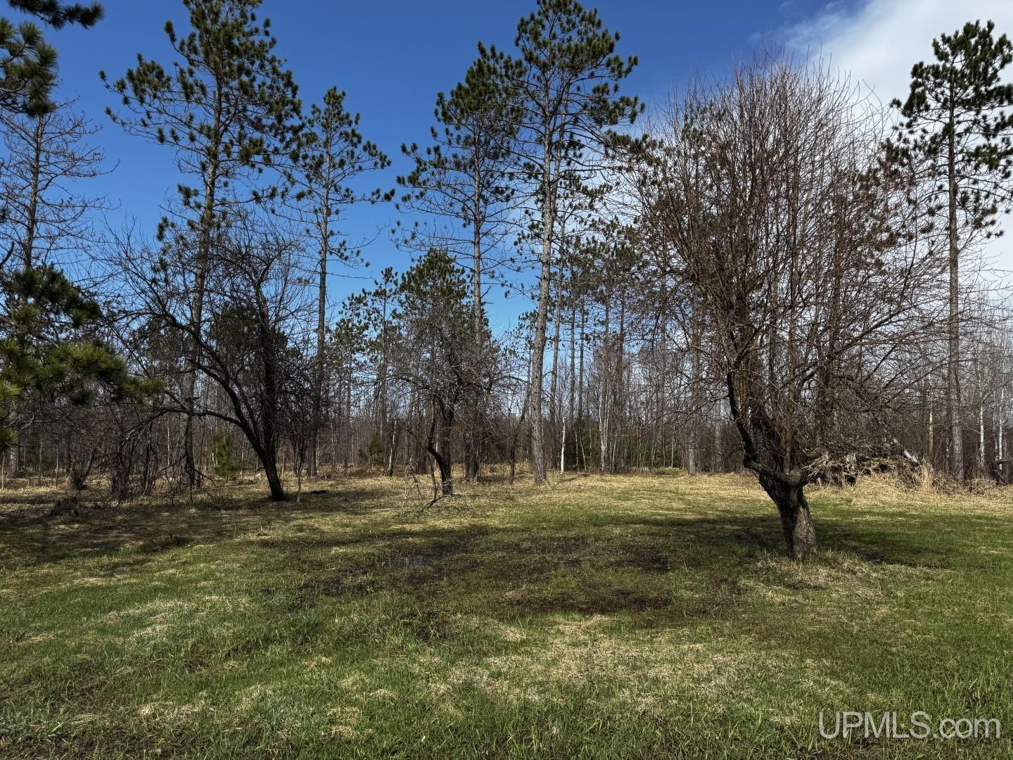 36431 Daniels Road Property Photo 1