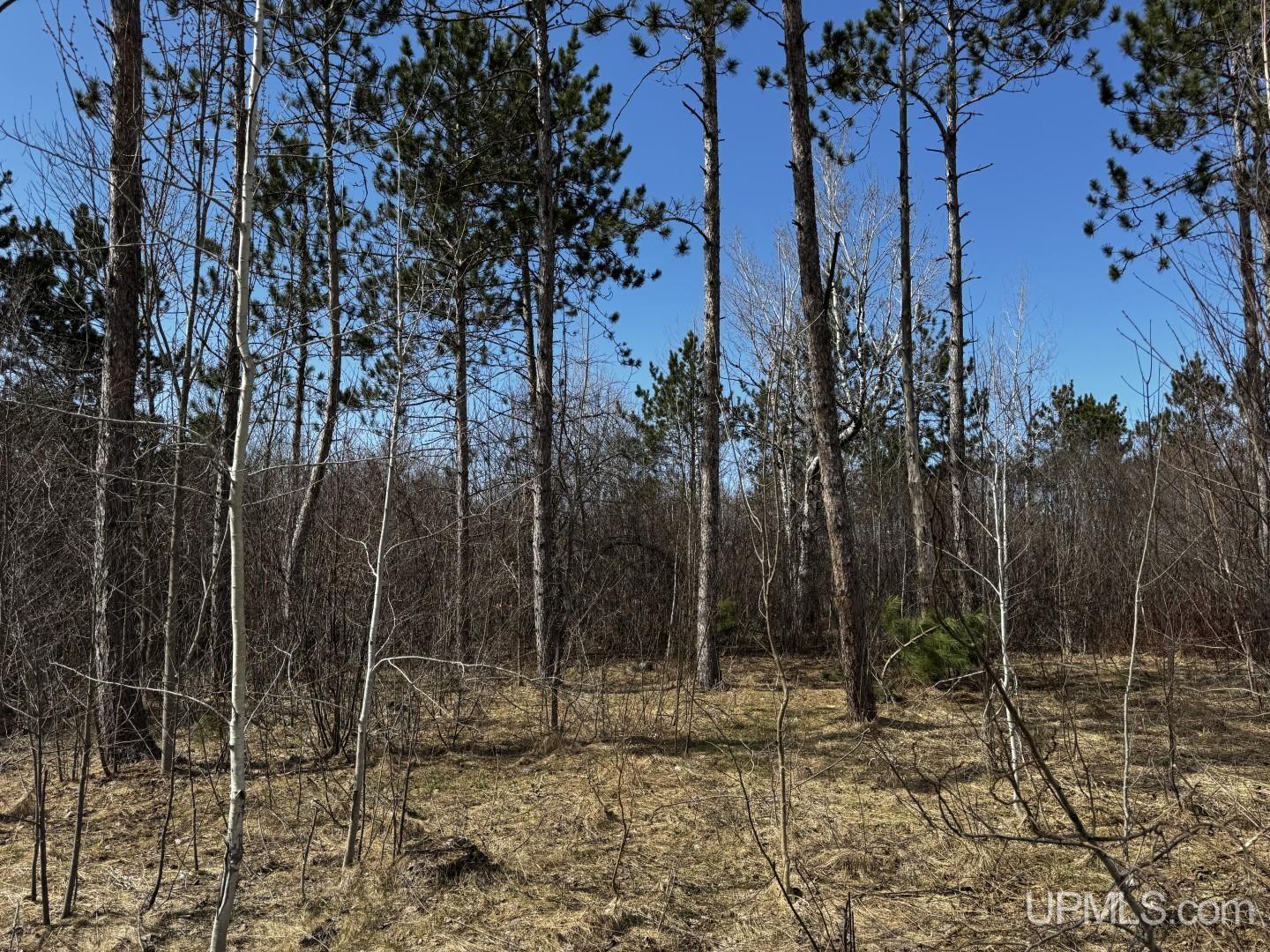 36431 Daniels Road Property Photo 2