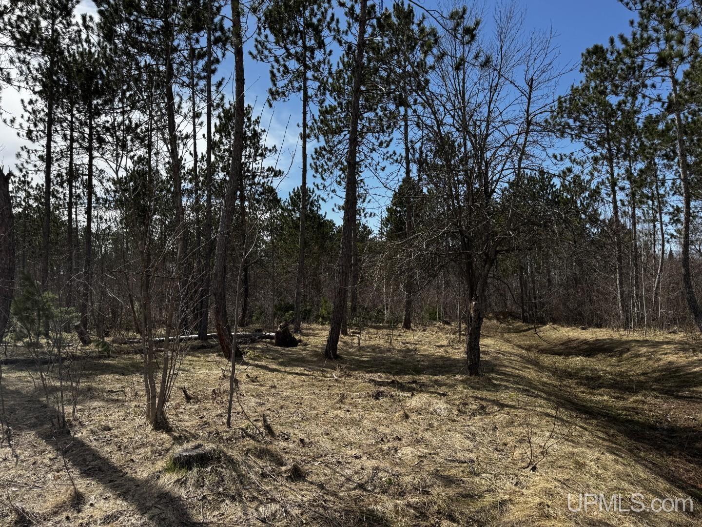 36431 Daniels Road Property Photo 3