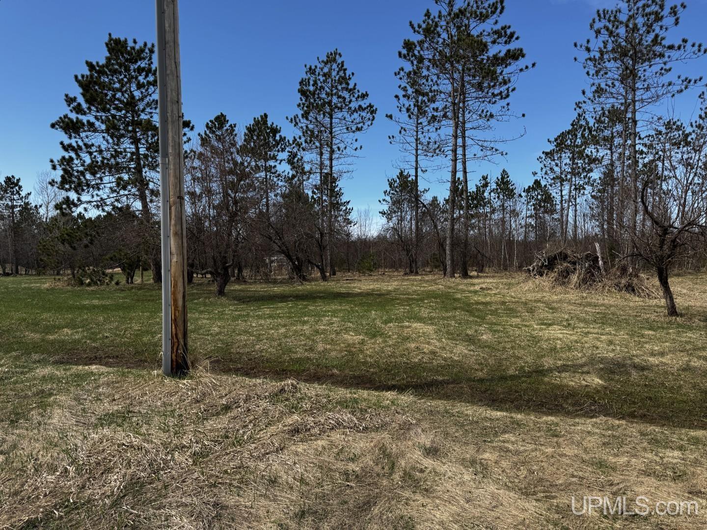 36431 Daniels Road Property Photo 4