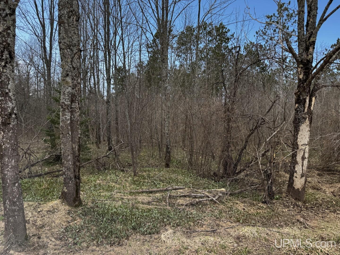 36431 Daniels Road Property Photo 5
