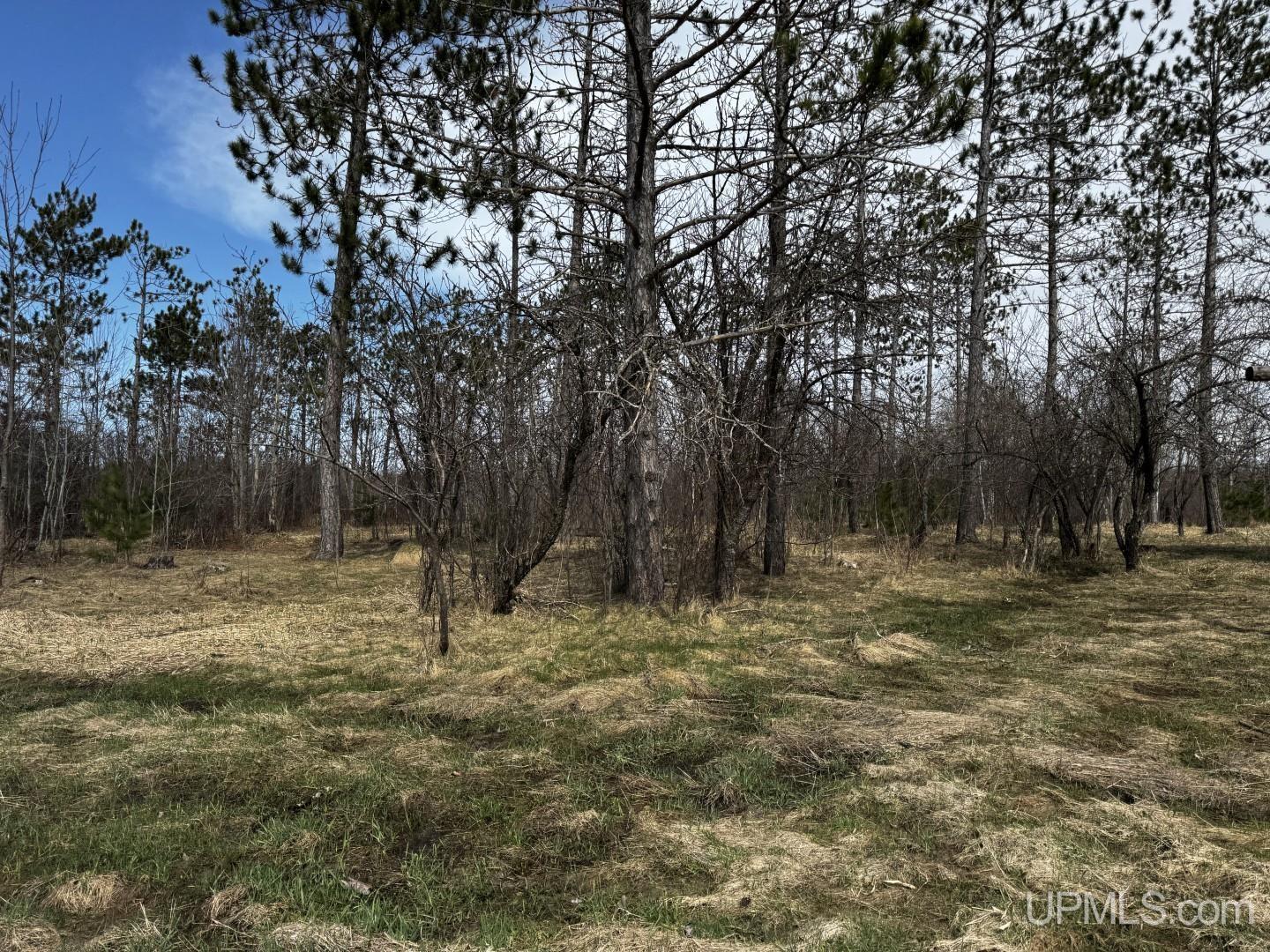 36431 Daniels Road Property Photo 6