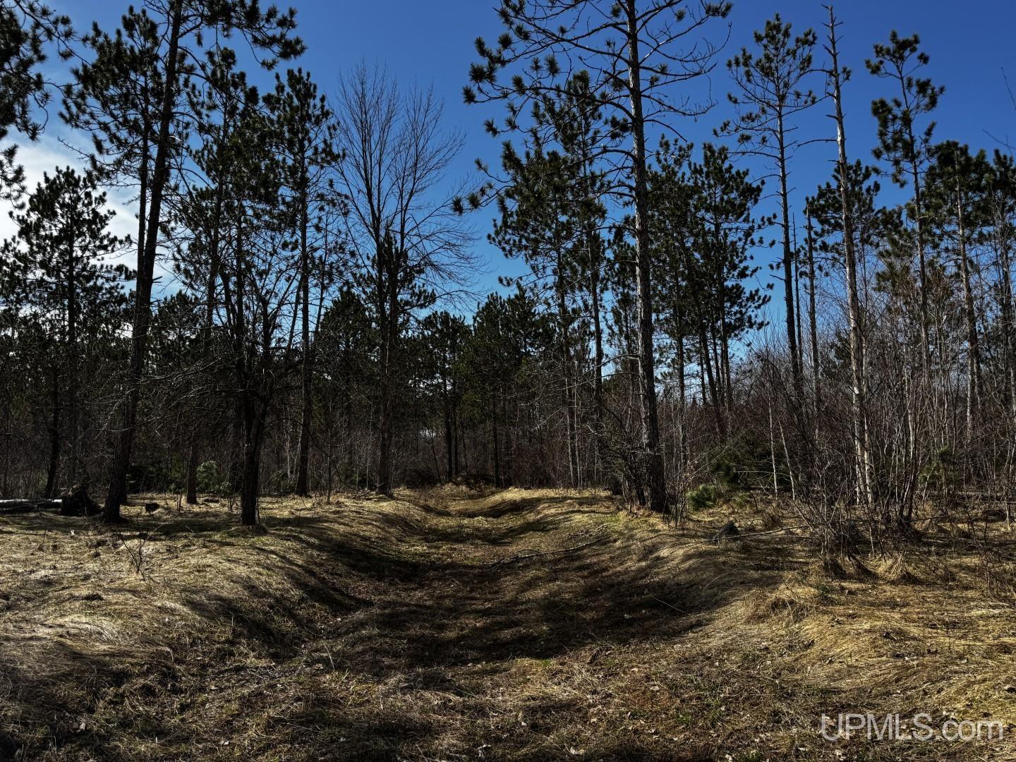 36431 Daniels Road Property Photo 20
