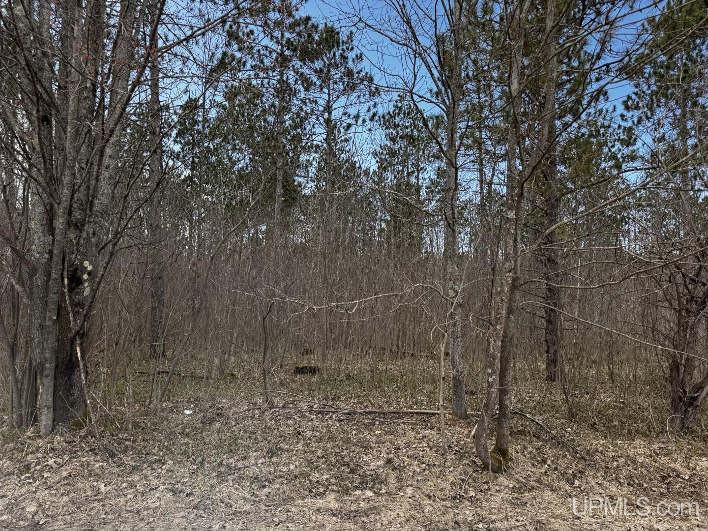 36431 Daniels Road Property Photo 22