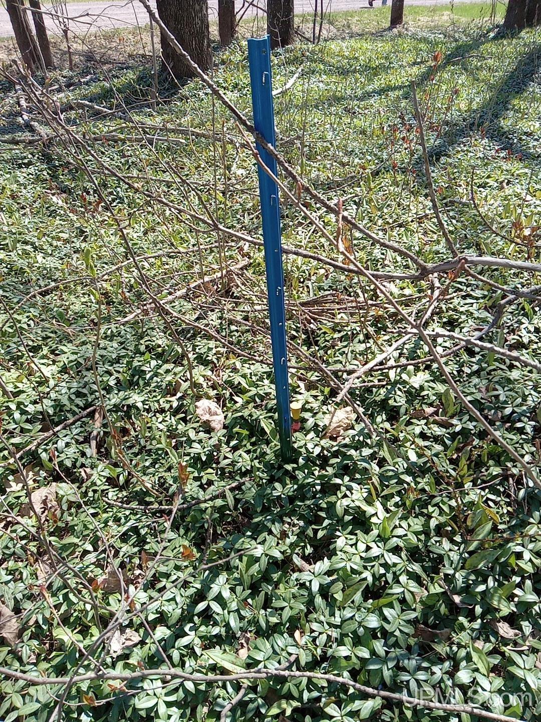 36431 Daniels Road Property Photo 25