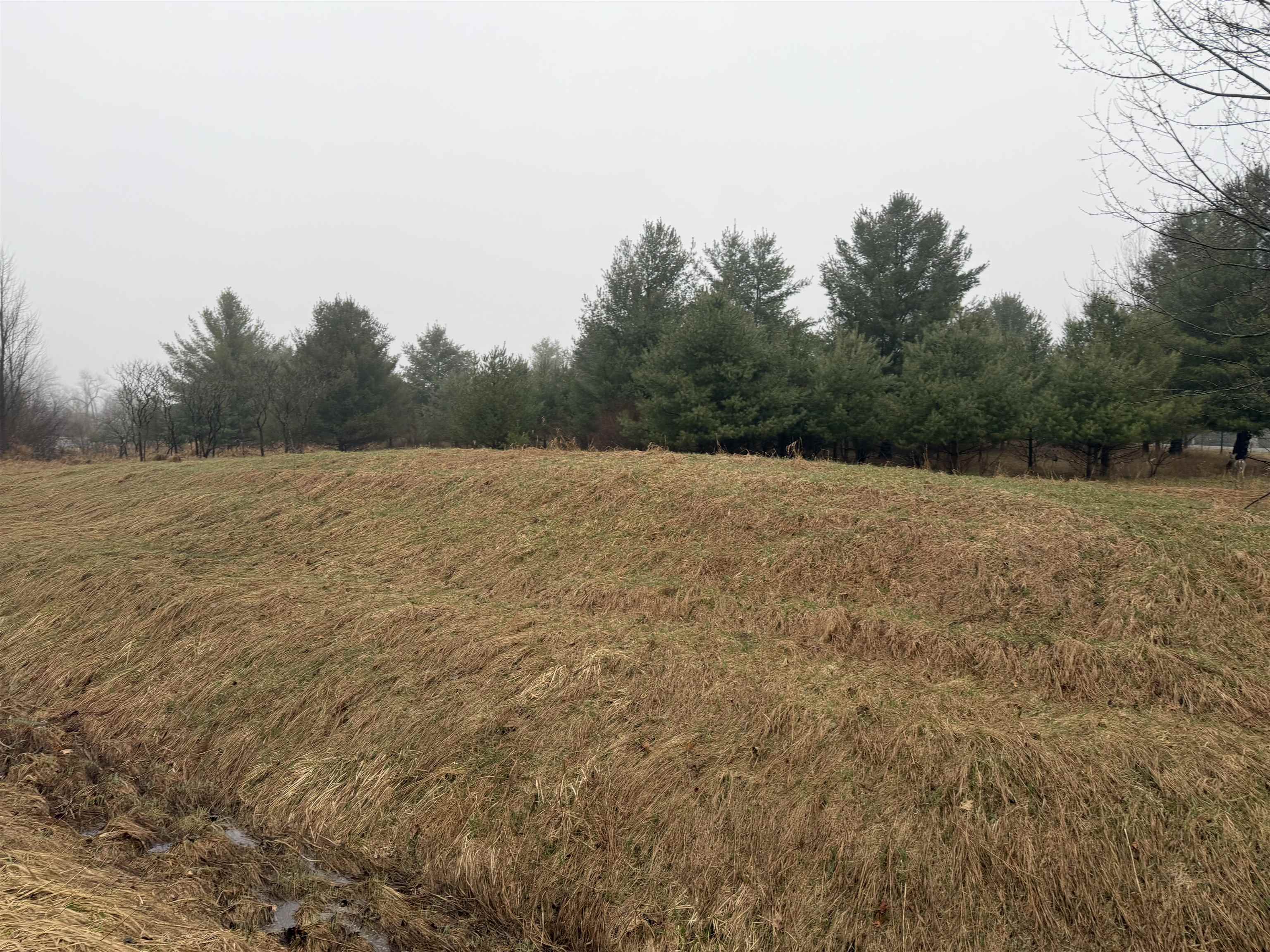 Track Iron Trail Property Photo 6