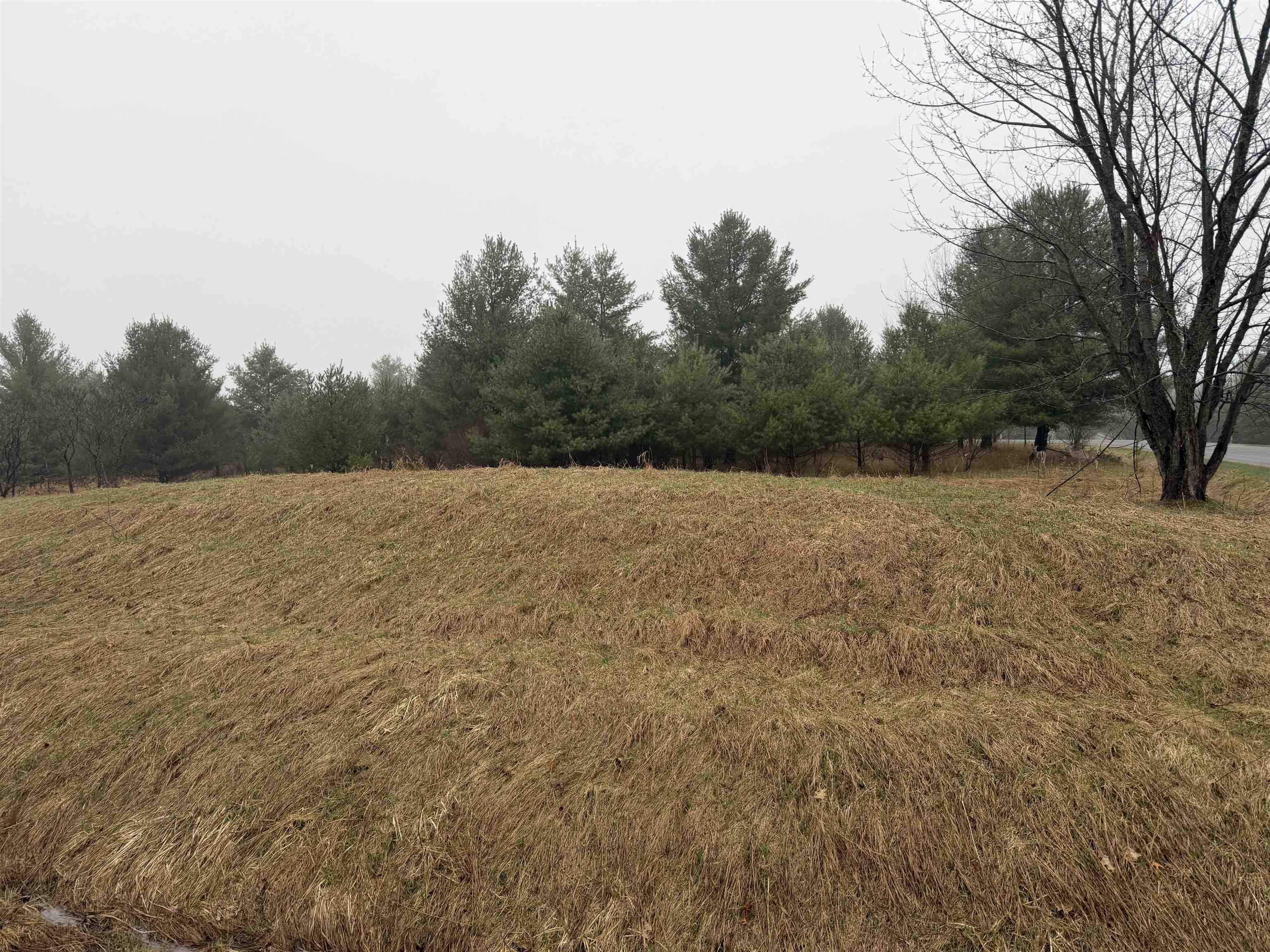 Track Iron Trail Property Photo 8
