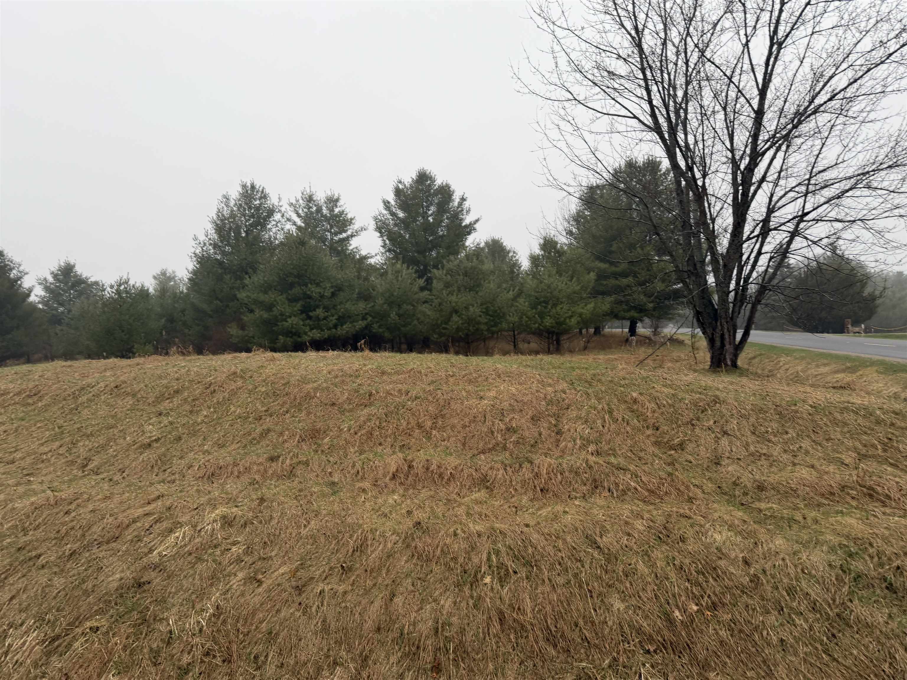 Track Iron Trail Property Photo 9