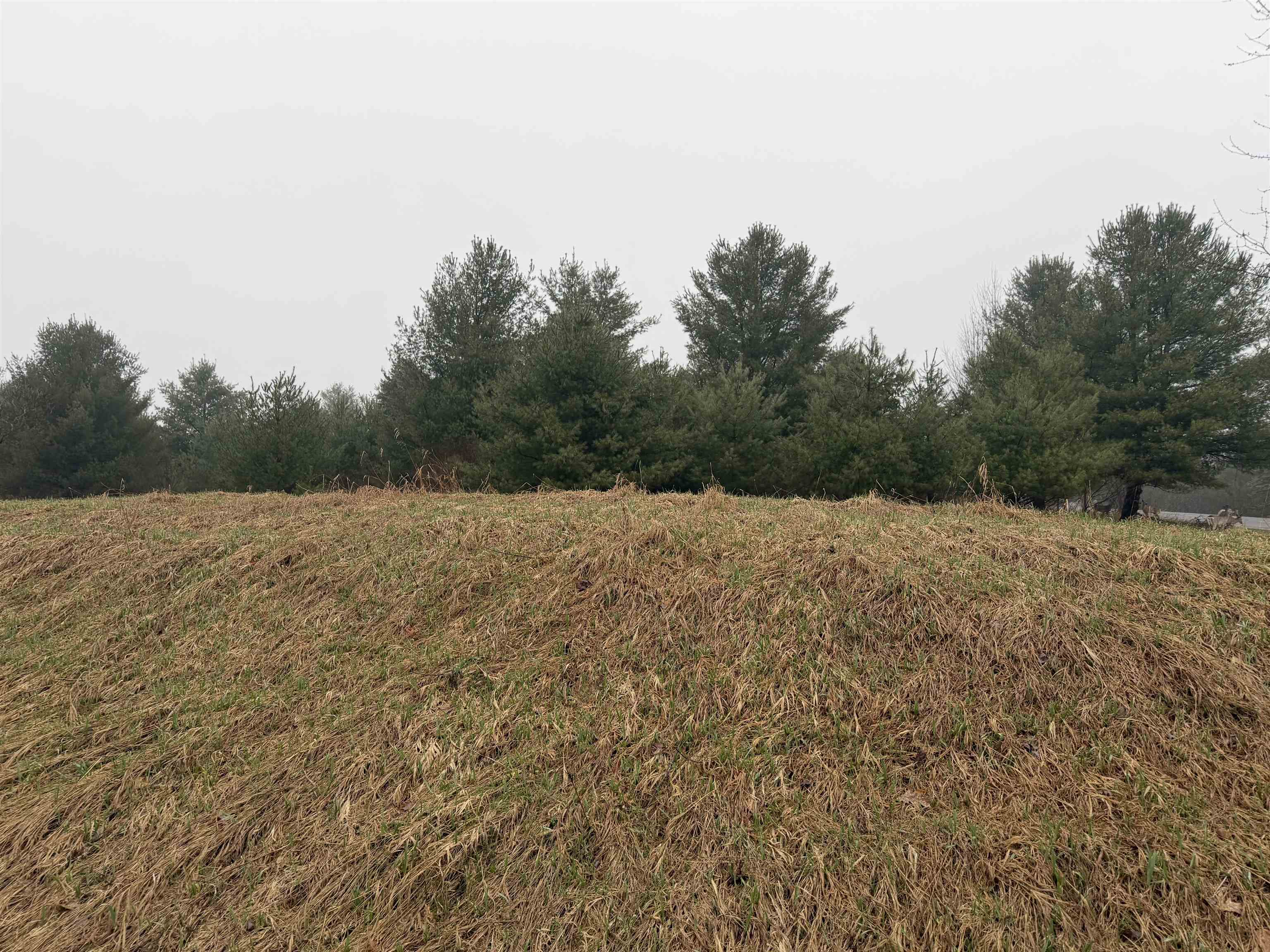 Track Iron Trail Property Photo 10