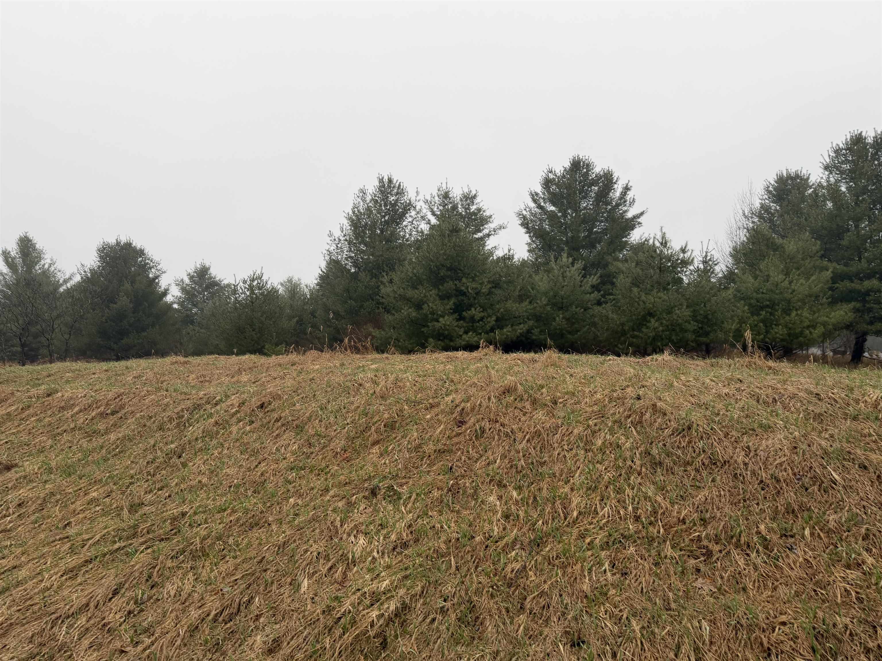 Track Iron Trail Property Photo 11