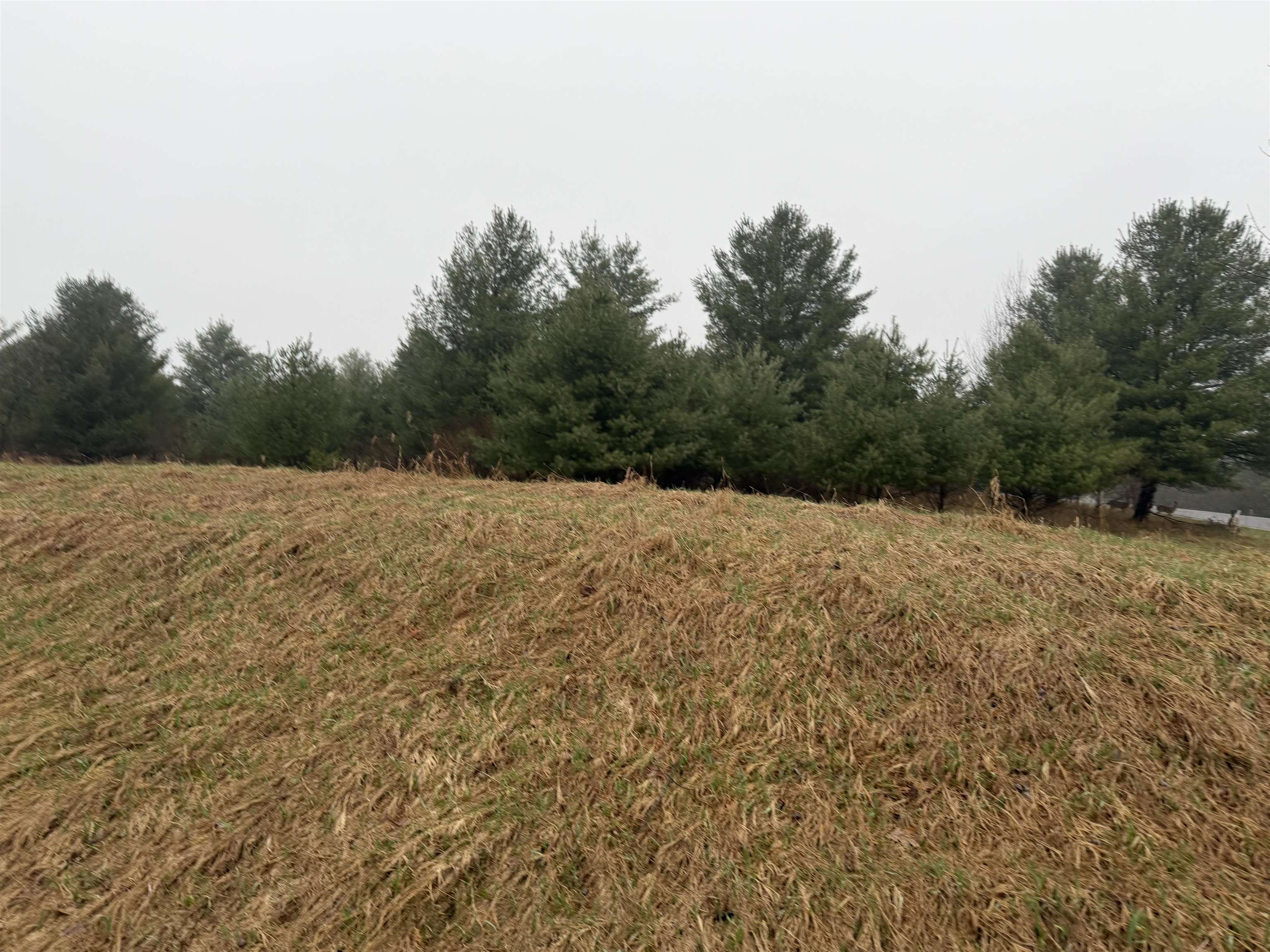 Track Iron Trail Property Photo 12