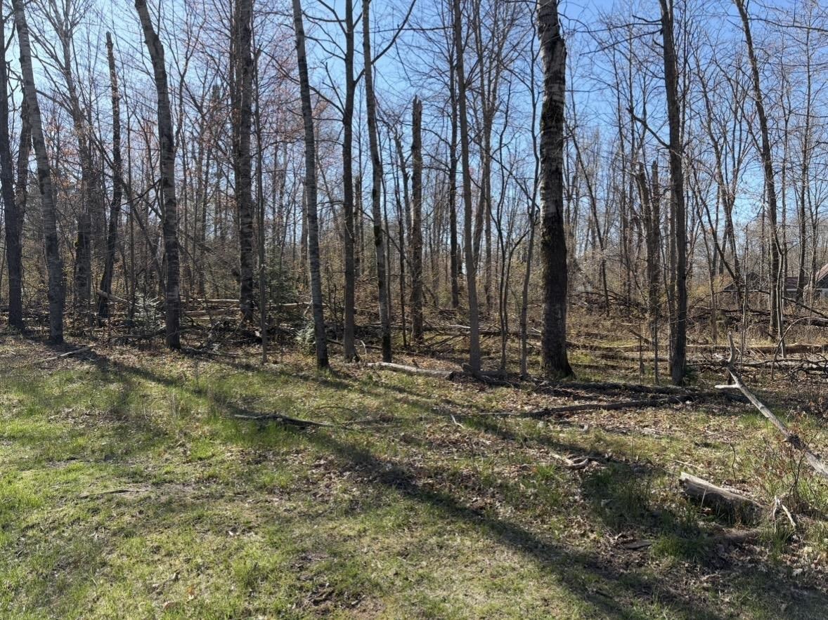 Lot 183-186 Shadowbrook Drive Property Photo 1