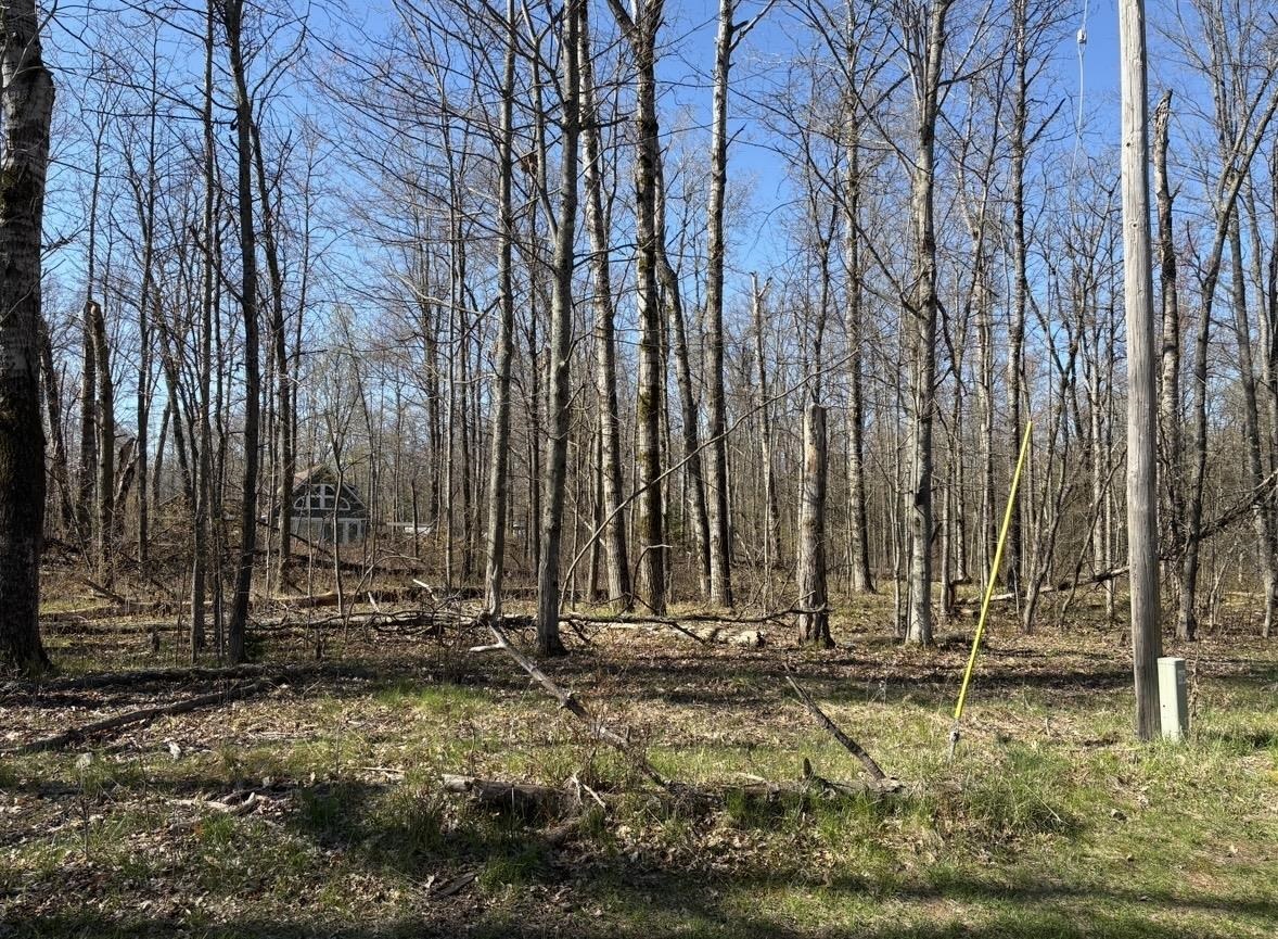 Lot 183-186 Shadowbrook Drive Property Photo 2